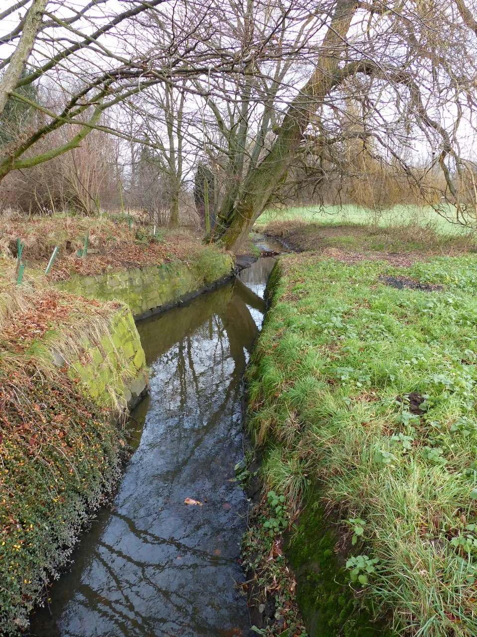 Photo showing: Die Ohe (Schunter) am Ortsrand von Rühme, Blickrichtung Norden (stromabwärts).