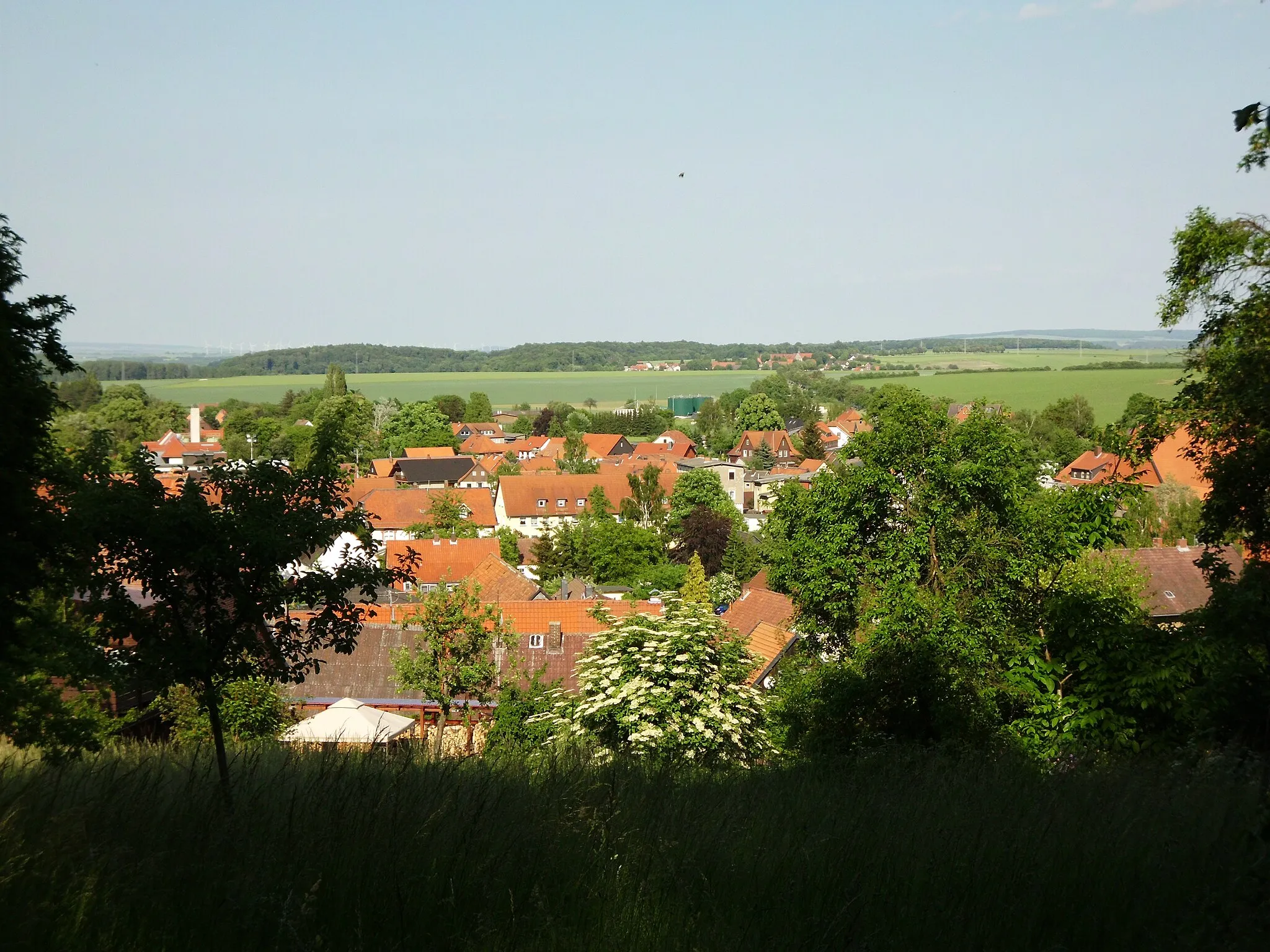 Photo showing: Blick auf Liebenburg