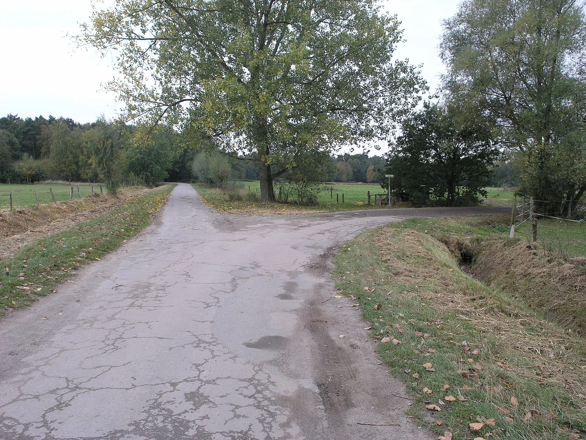 Photo showing: Barnbruch 11.10.2009