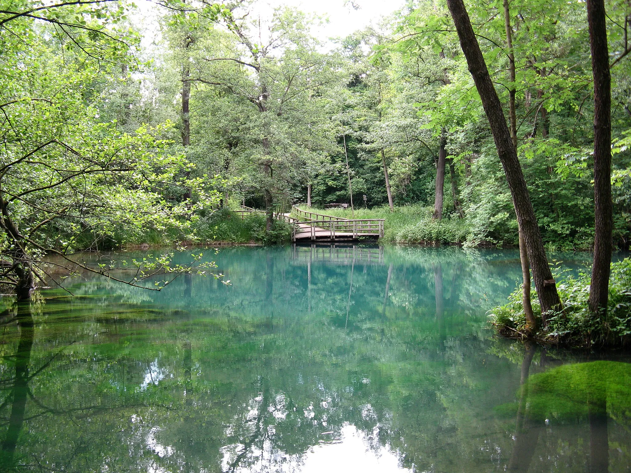 Photo showing: karst spring of river Rhume in Lower Saxony, Germany