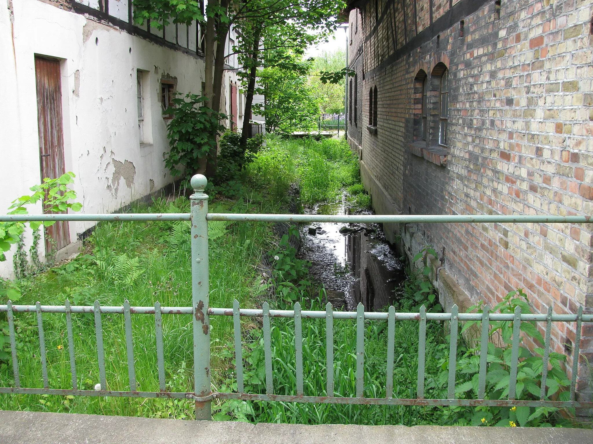 Photo showing: der Bach Wedde oberhalb der Zufahrt zum Hof Harzstraße 1 in Schladen