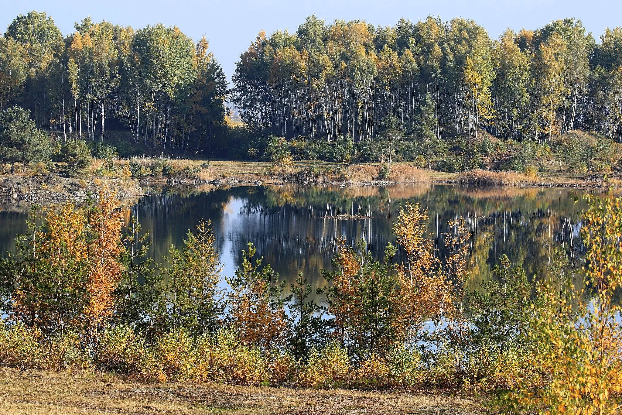 Photo showing: Naturschutzgebiet der ehemaligen Nickelgrube Callenberg Nord II in Sachsen; Kreis Zwickau.