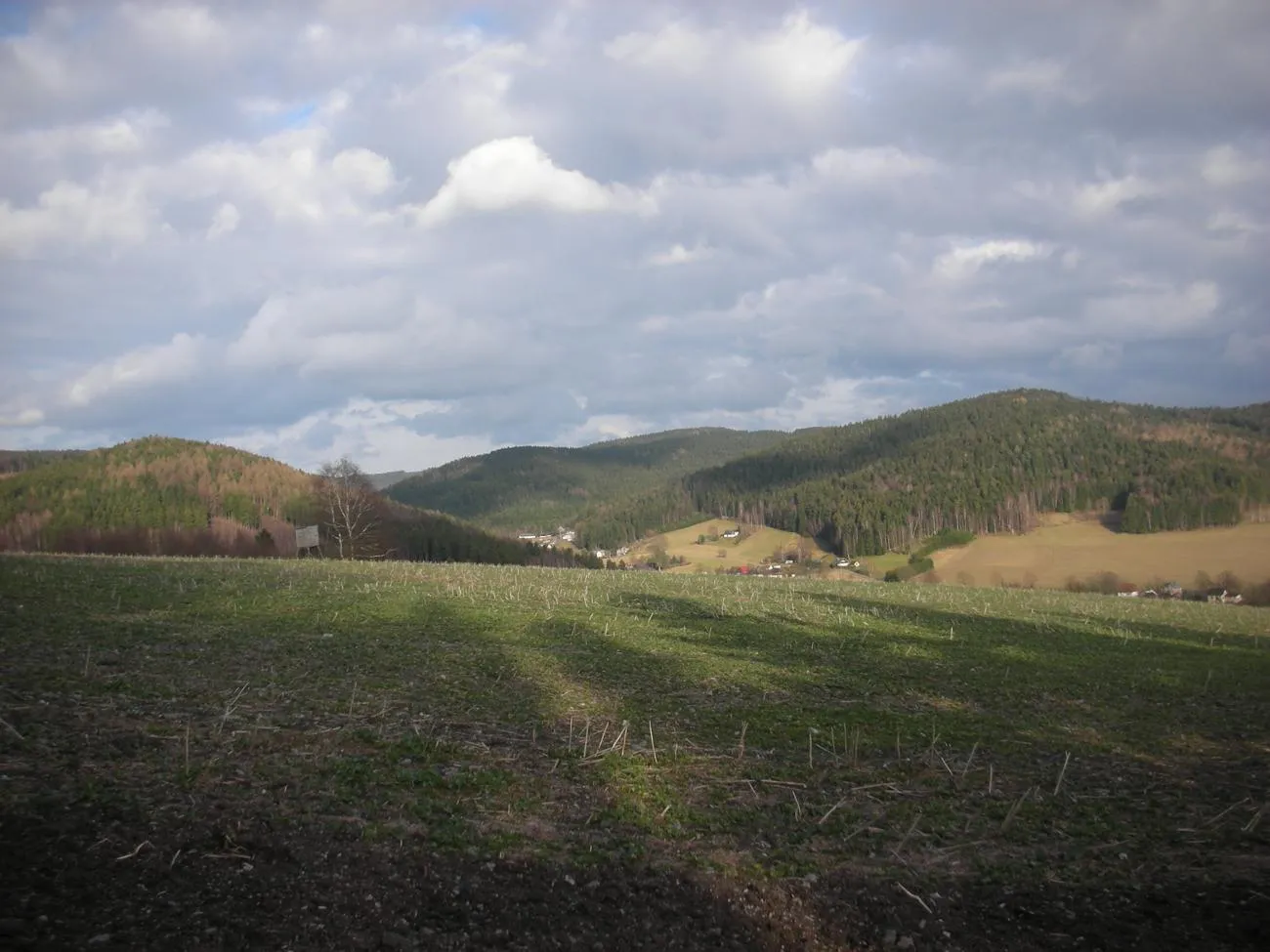 Photo showing: Blick von der Spornreuth (Erlbach) auf den Kegelberg in Richtung Ursprungberg (höchster Berg des Elstergebirges)