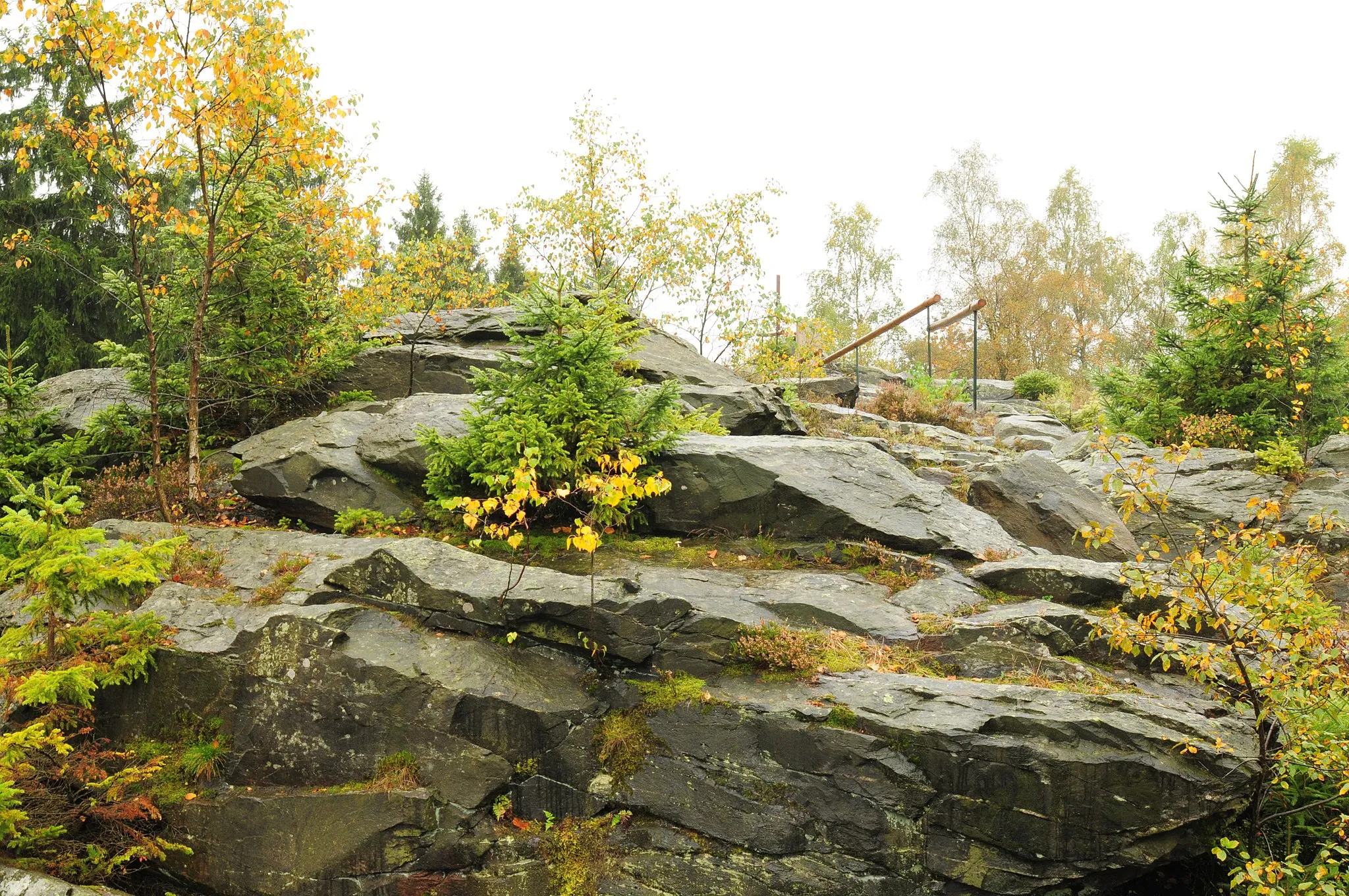 Photo showing: Grünbach, Wendelstein (732 m) Quarzitklippe (Vogtlandkreis, Sachsen, Deutschland)