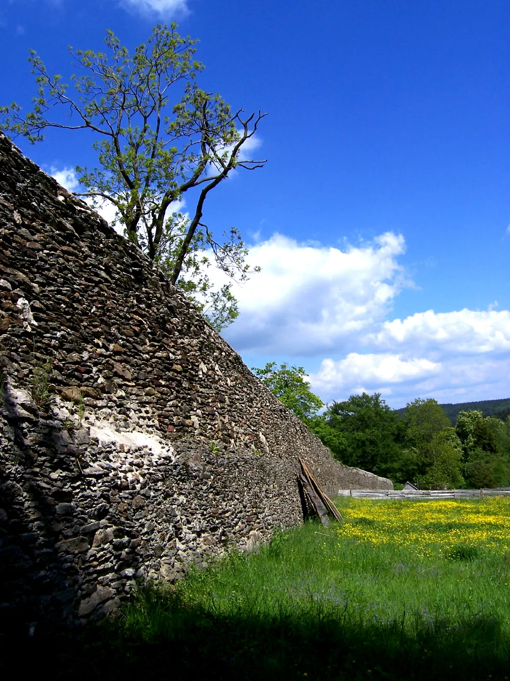 Photo showing: Kloster Grünhain, Nördliche Klostermauer