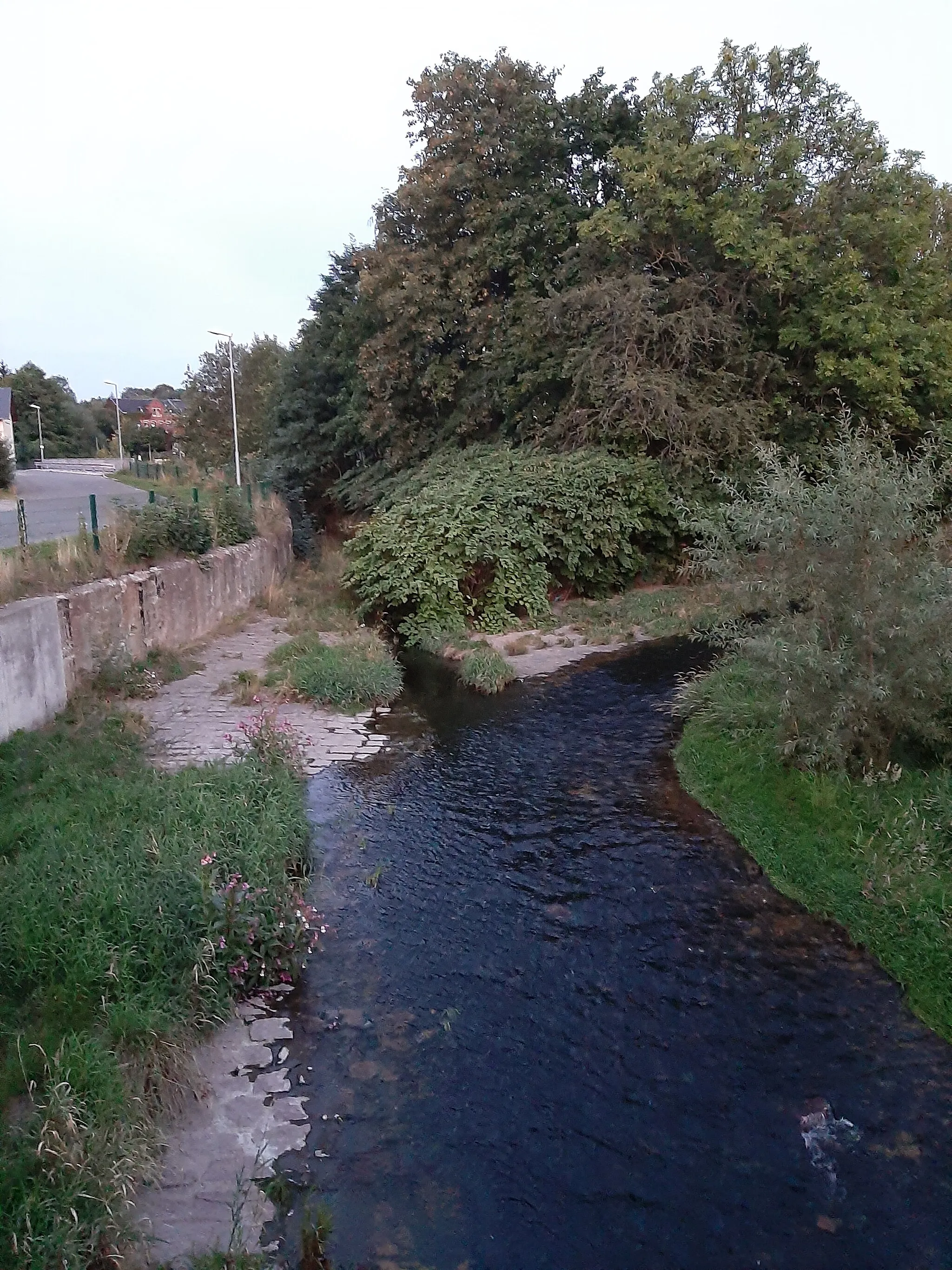 Photo showing: Mündung des Wernesbaches (links) in die Göltzsch (rechts)  in Rodewisch. Linksseits des Wernesbaches befindet sich die Rodewischer Feuerwache.