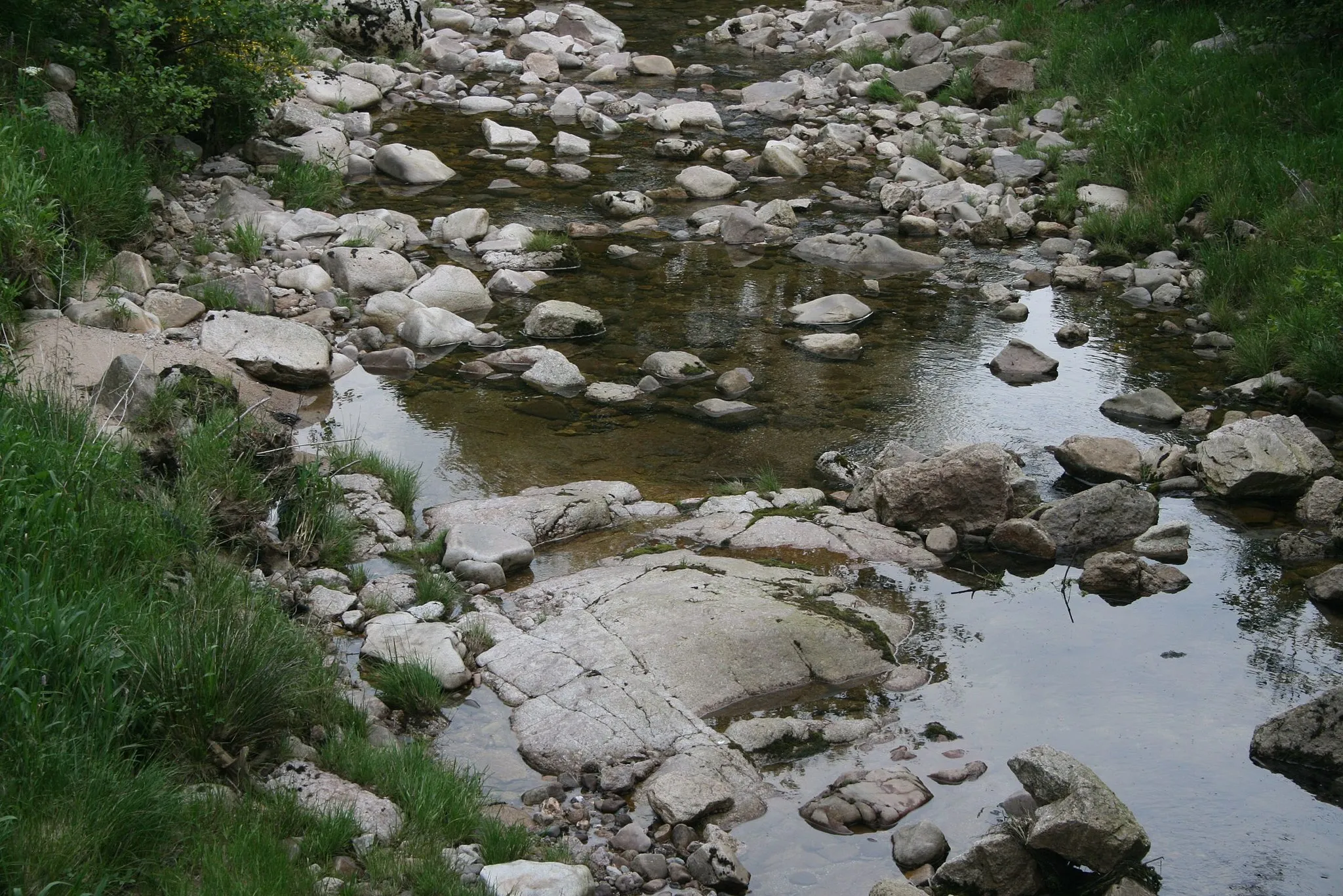 Photo showing: Die Zwickauer Mulde in der Nähe des Forsthauses an der Mulde. Der niedrige Wasserstand rührt auch daher, daß oberhalb dieser Stelle für den Betrieb von Wasserkraftwerken zur Erzeugung elektrischer Energie sehr viel Wasser aus der Mulde abgeleitet wird. Dies macht den aquatischen Lebewesen in Sommern mit so geringen Restwassermengen  das Überleben schwer.