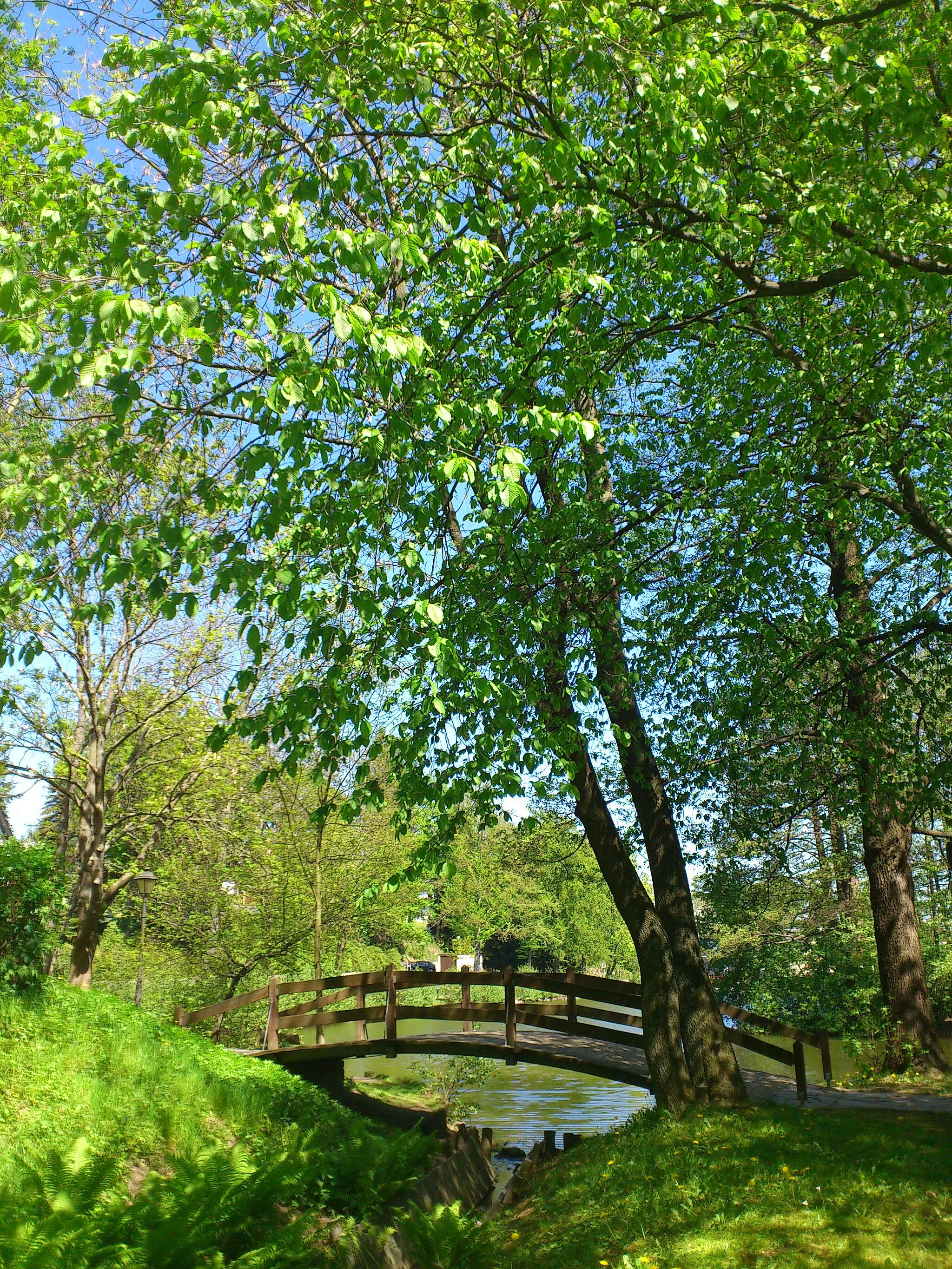 Photo showing: Blick auf den Walkteich