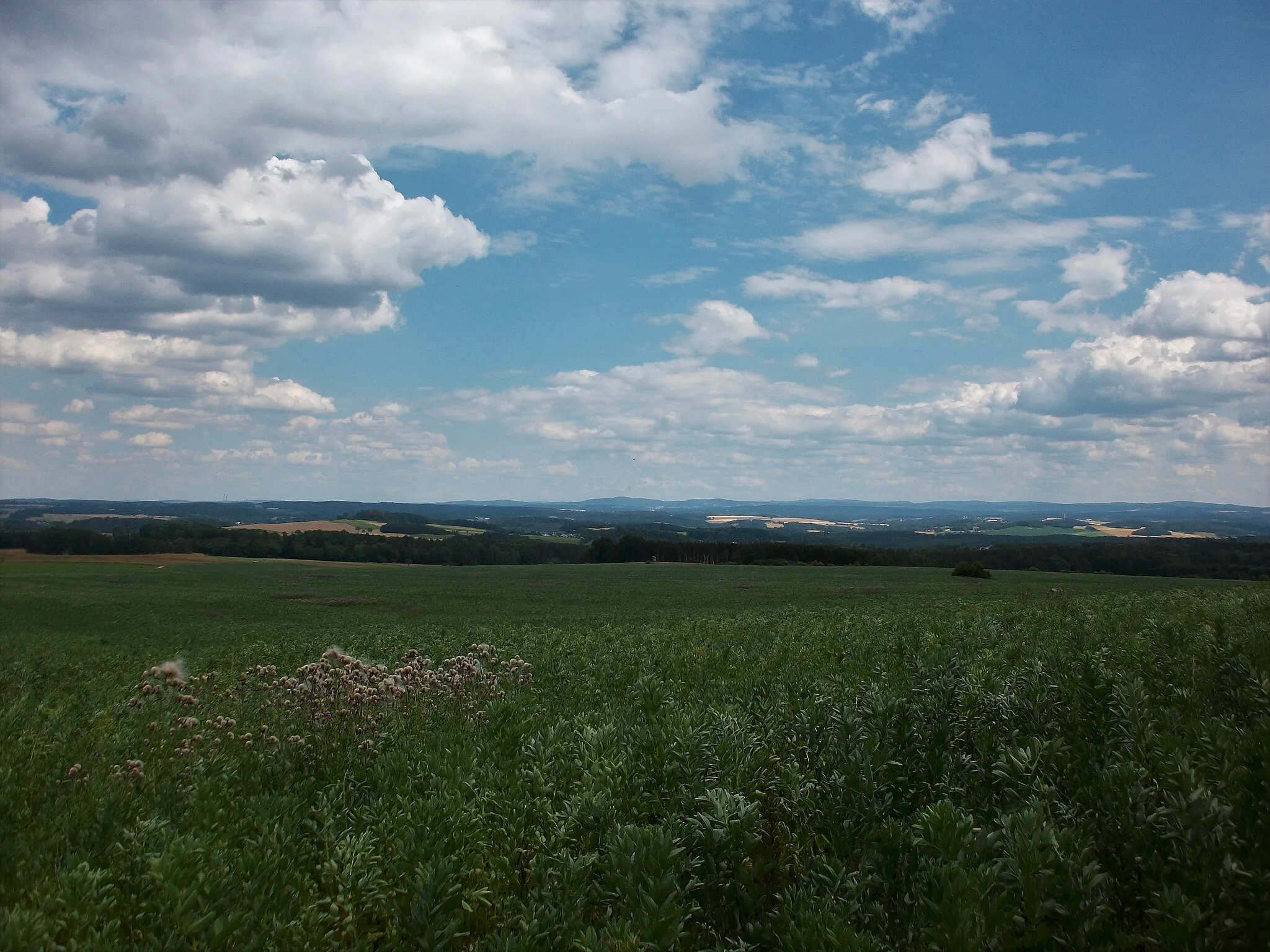 Photo showing: Ausblick von Syrau