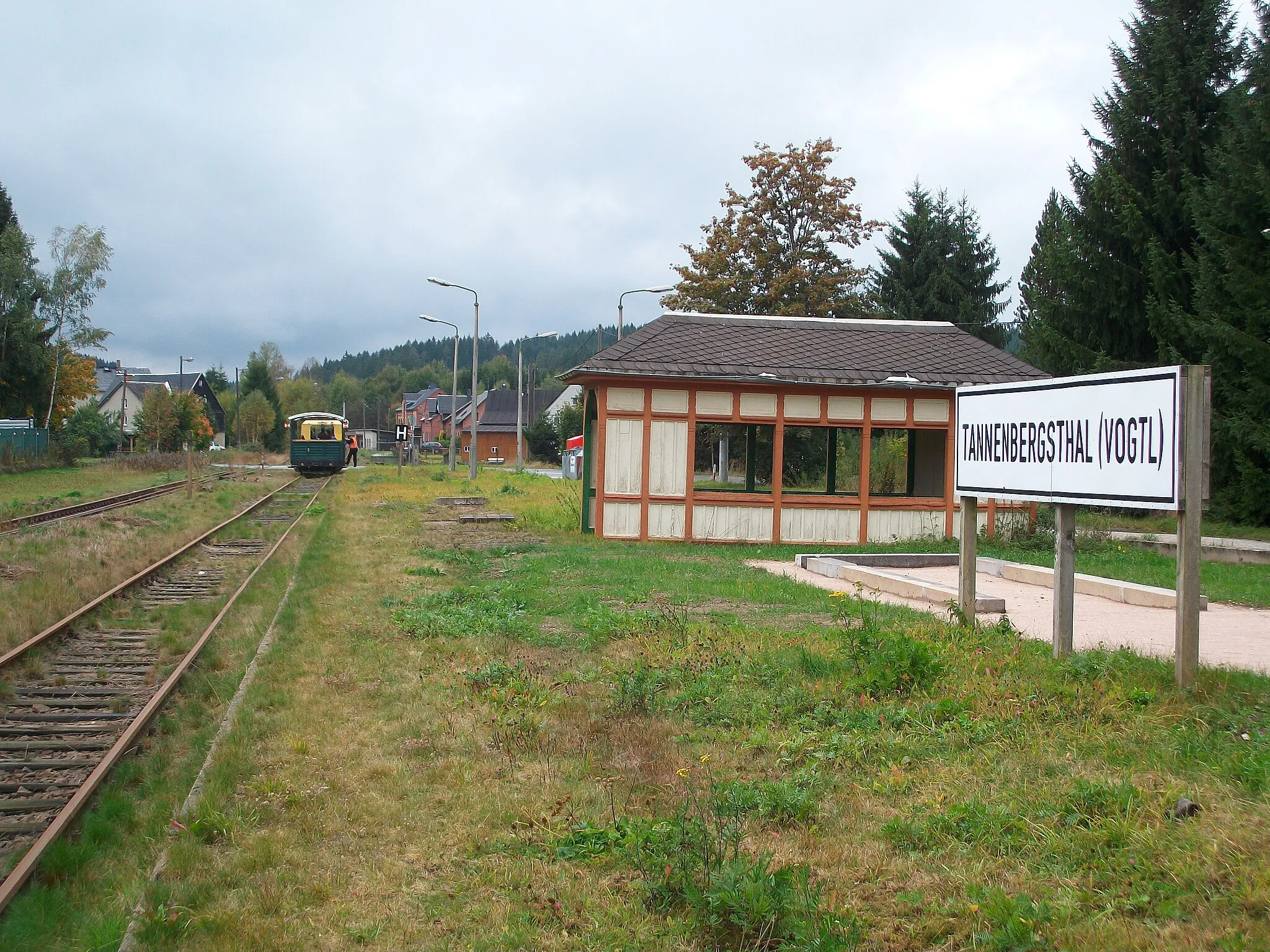 Photo showing: Bahnhof Tannenbergsthal (Vogtl) mit Wernesgrüner Schienenexpress (2016)