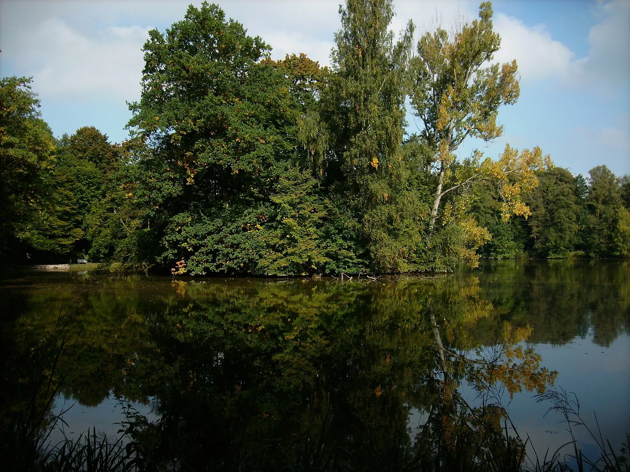 Photo showing: Elise's Pond in Grünfeld Park (Waldenburg, Zwickau district, Saxony)