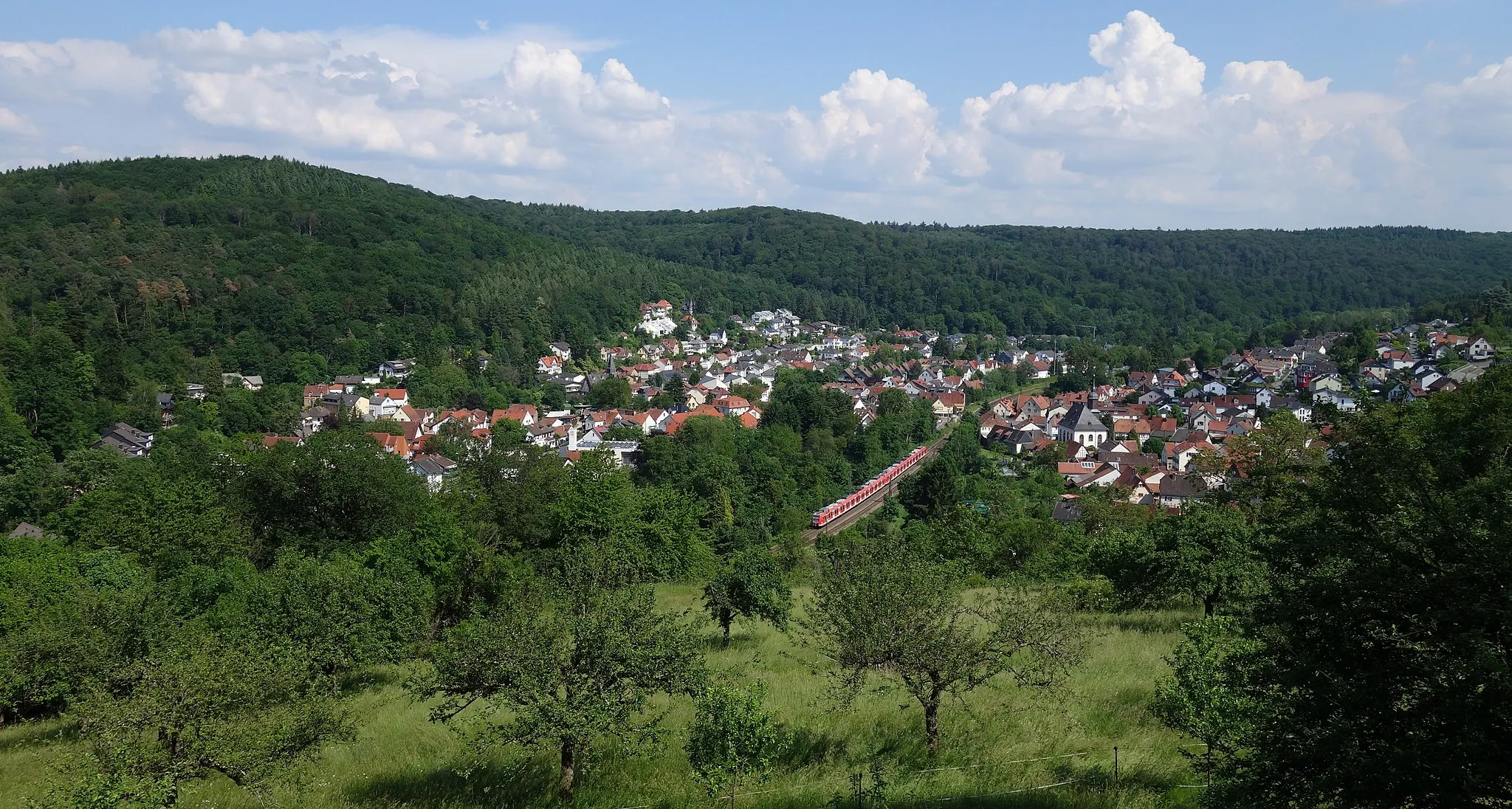 Photo showing: View over Lorsbach from obeservation tower "Turm am Ringwall", Northwest of Lorsbach. In the photo's center a DBAG Class 423-train runs as suburban S-train of line S 2 from Frankfurt to Niedernhausen along the Main-Lahn Railway.