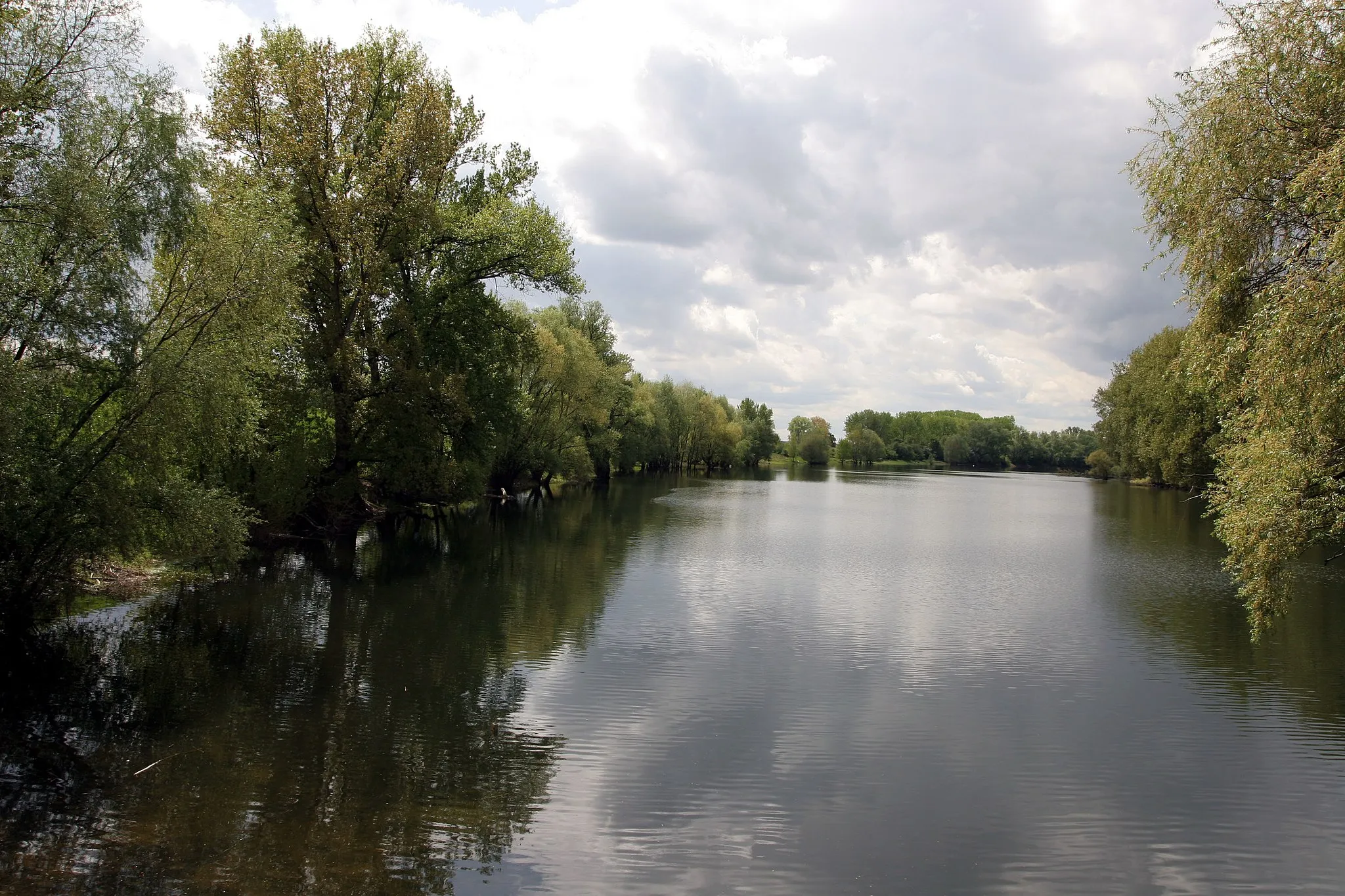 Photo showing: Ein Teil des Altrheinarmes im (oder am) Naturschutzgebiet „Lampertheimer Altrhein“ (Biedensand) in Lampertheim