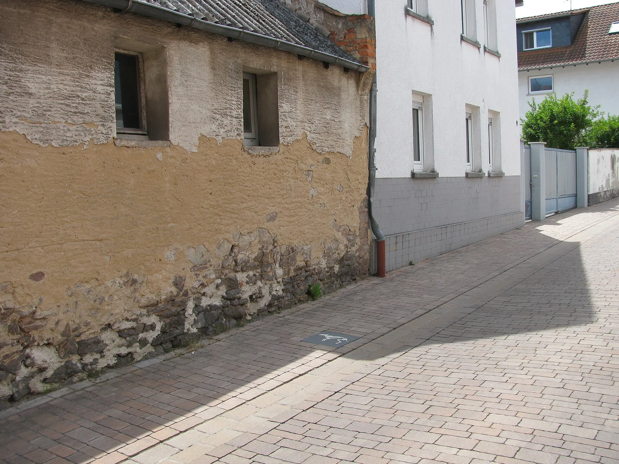 Photo showing: in Messel sind an vielen Stellen im Bürgersteig derartige Platten eingebaut, Betonplatten, auf denen ein Tierskelett abgebildet ist, diese markieren einen als „Zeitstrahl-Weg“ bezeichneten Wanderweg durch Messel und zur Grube Messel