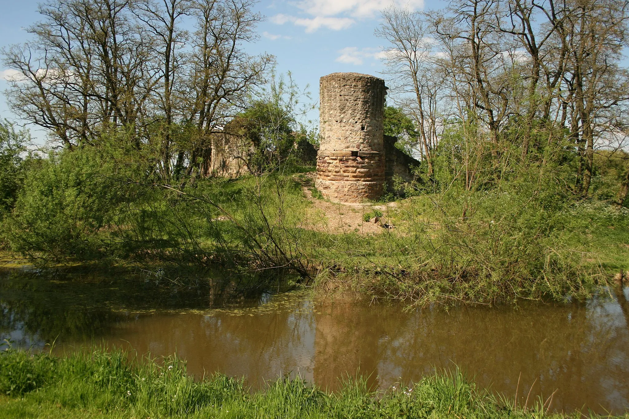 Photo showing: Ruins of castle Dorfelden, Niederdorfelden, Hesse. View from South