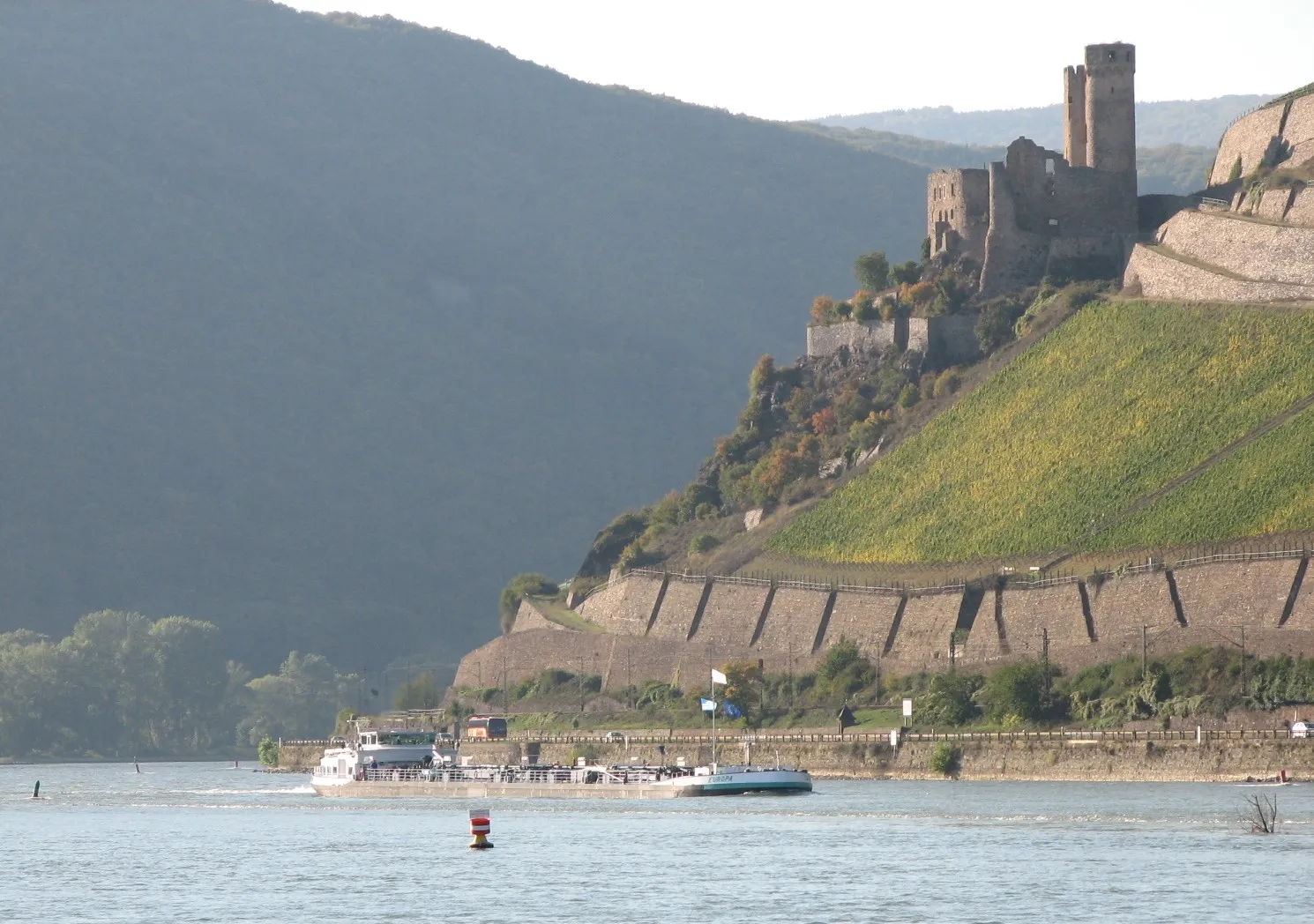 Photo showing: ruin of castle Ehrenfels near rhine river