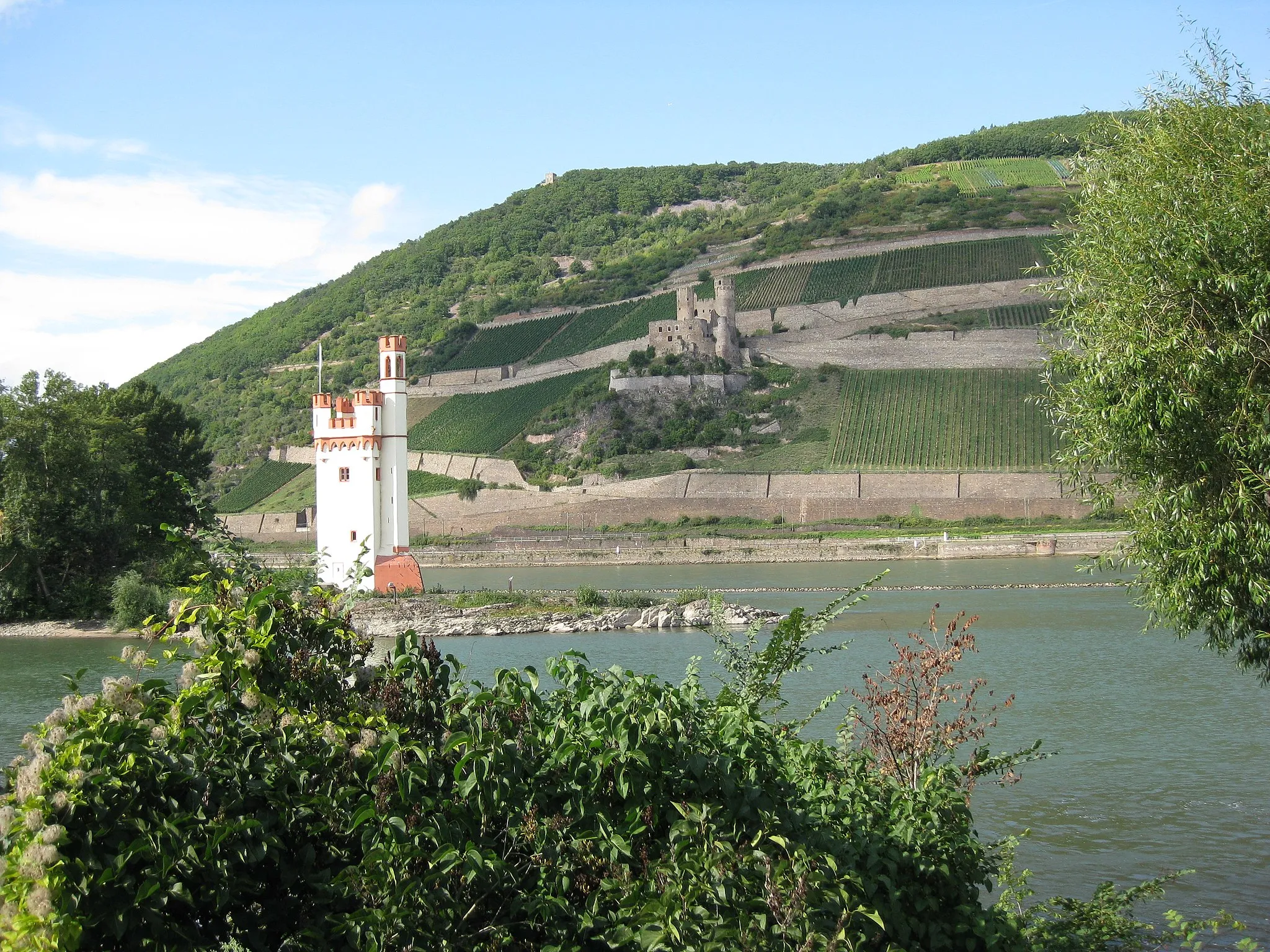 Photo showing: Blick von der Binger Gartenschau auf den Rhein mit Burgruine Ehrenfels und dem Mäuseturm