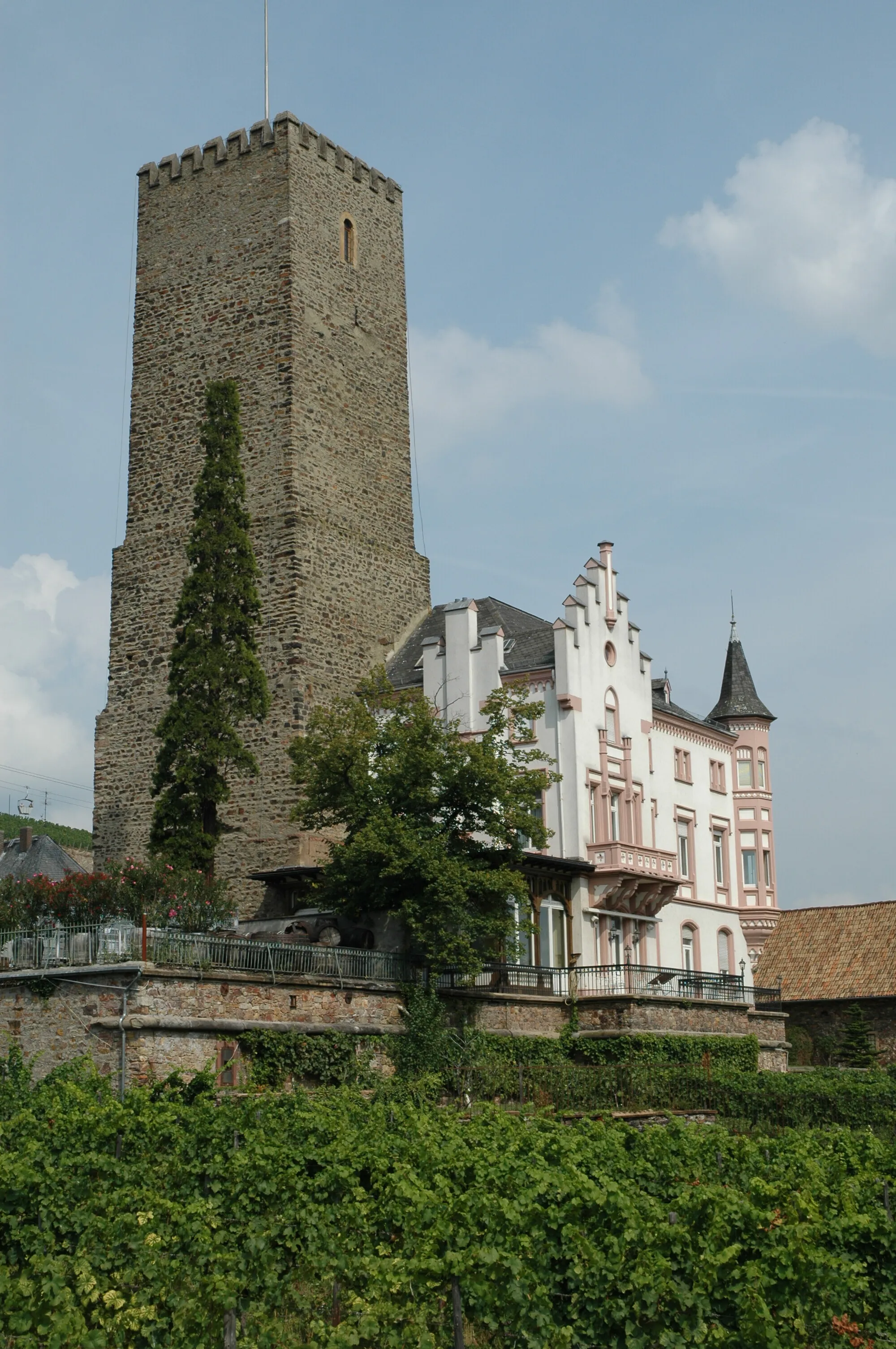 Photo showing: Boosenburg von Südwesten

eigenes Foto Peter Weller