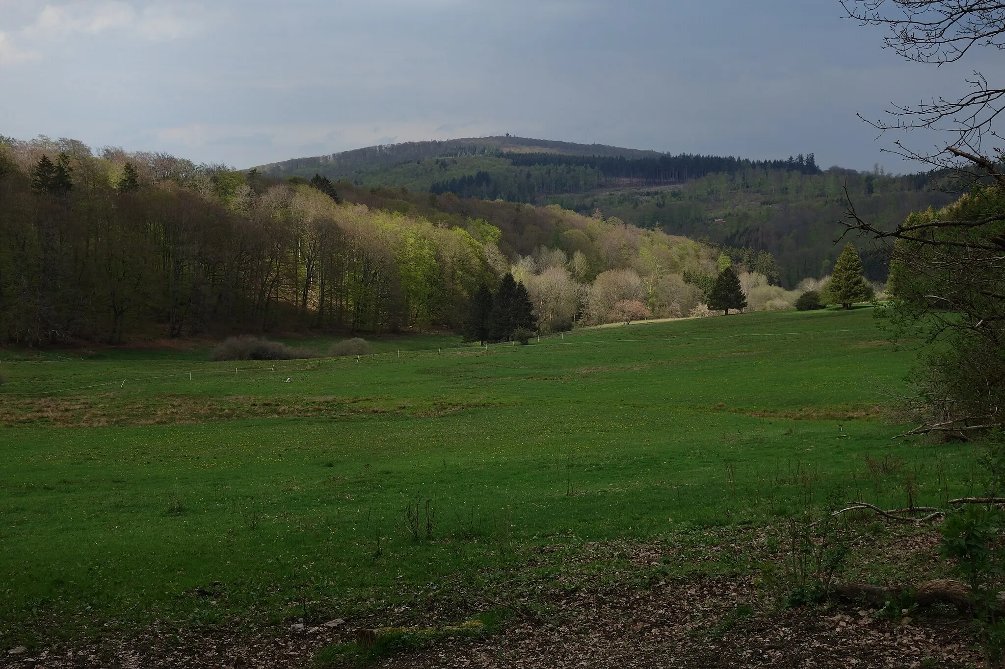 Photo showing: Seelenberg (part of Schmitten, Taunus): View over nature reserve Saubach und Niedgesbach to mountain Pferdskopf