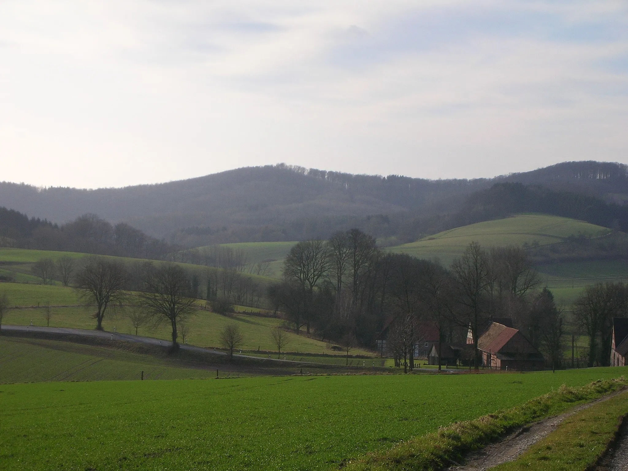 Photo showing: Amelungsburg in the Lippe Uplands near Dörentrup, Lippe District, North Rhine-Westphalia, Germany.