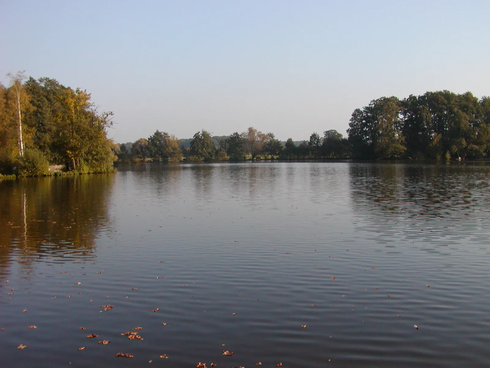 Photo showing: The peat-bog lake called Hücker Moor near the town of Spenge, District of Herford, North Rhine-Westphalia, Germany.