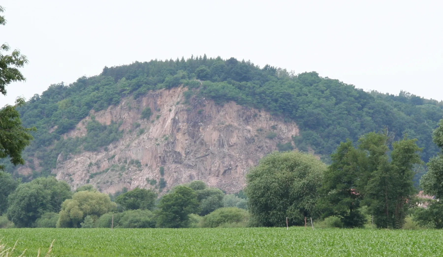 Photo showing: Blick über die Elbe auf die Boselspitze von der B6 aus