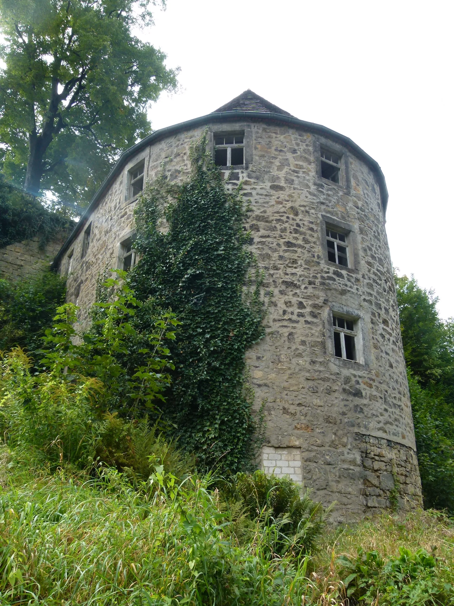 Photo showing: Burgruine Wehlen, Stadt Wehlen, Sachsen