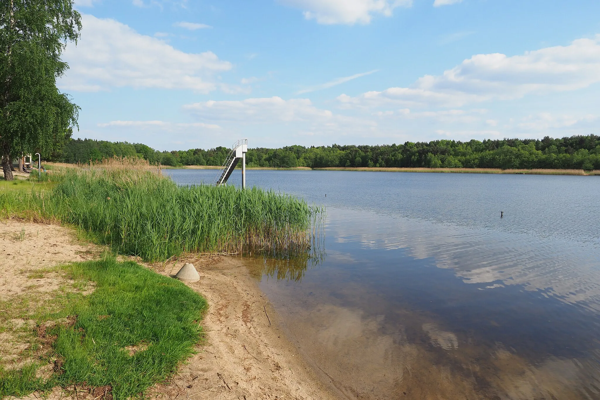 Photo showing: Brettmühlenteich bei Dobra