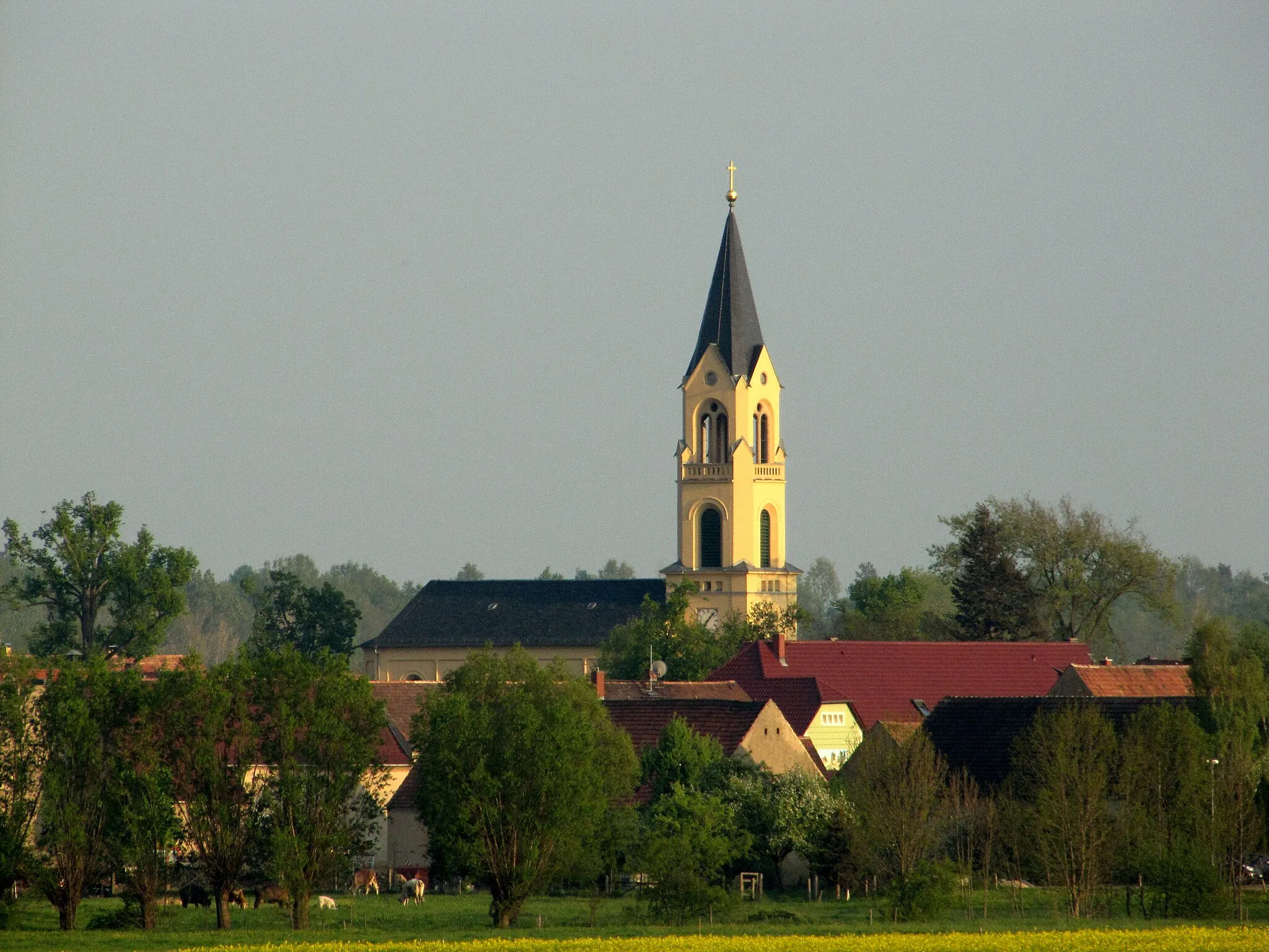 Photo showing: Wildenhain (Großenhain) village and church, viewed from the north