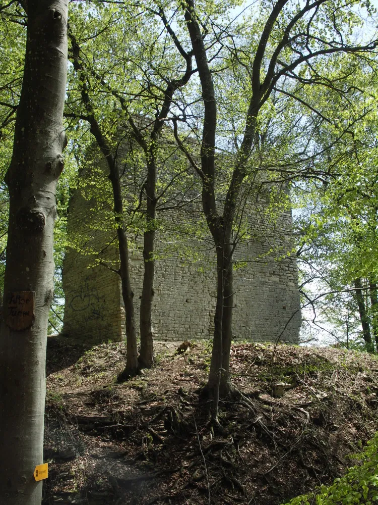 Photo showing: Bildbeschreibung: Alter Turm Aach
Fotograf/Zeichner: Peter Schmenger
Datum: 1.5.2006