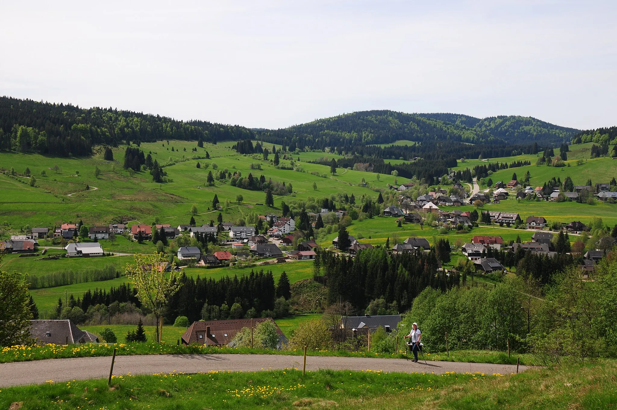 Photo showing: Panoramic view to the Southside of the Bernau valley