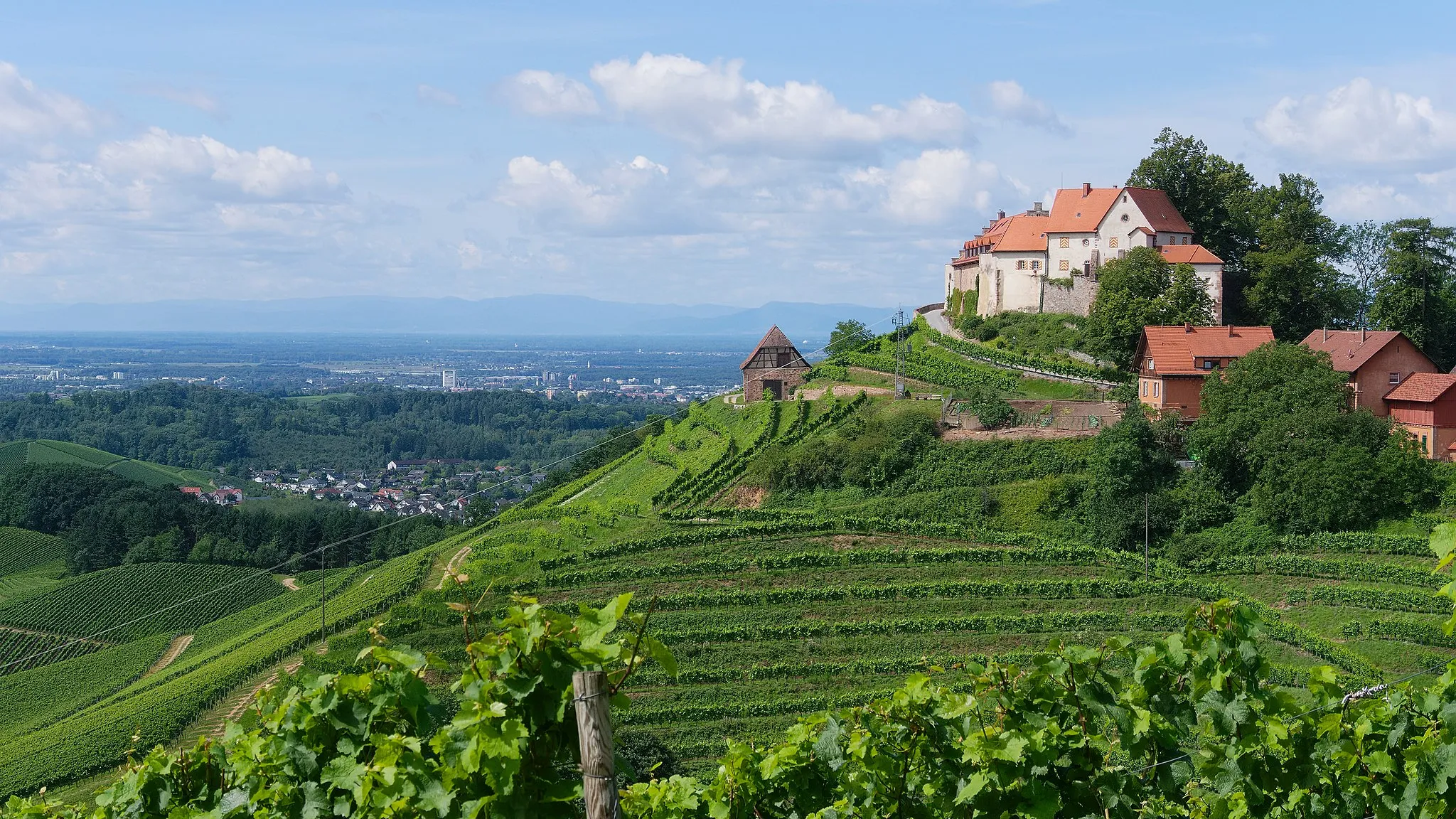 Photo showing: Weingut Schloss Staufenberg (Schwarzwald). Aufgenommen in Durbach, Baden-Württemberg, Deutschland.