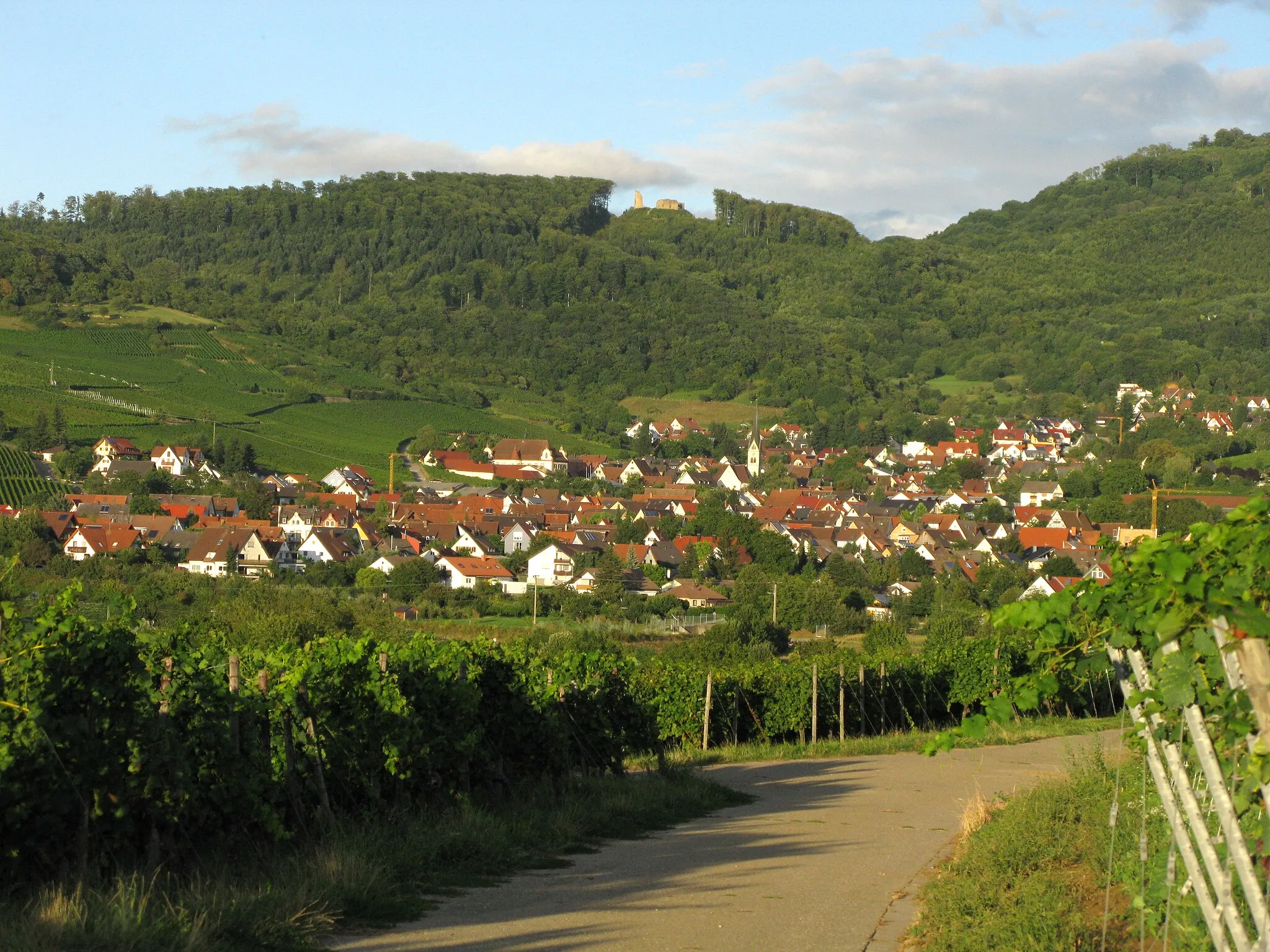 Photo showing: Ebringen mit Ruine Schneeburg