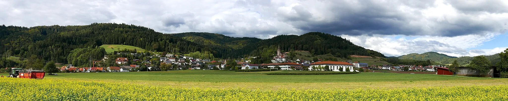 Billede af Freiburg