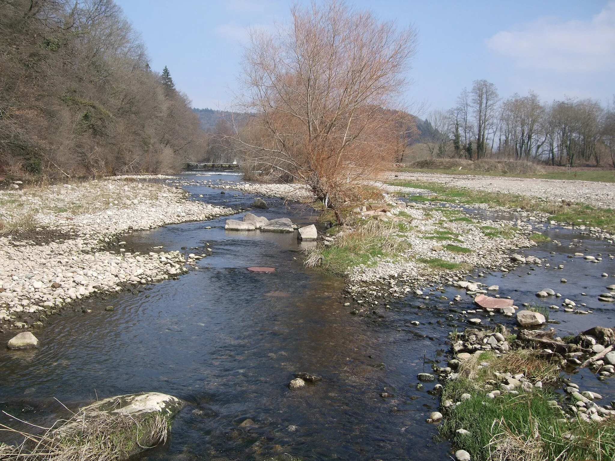 Photo showing: Land restoration at the Wiese near Maulburg.