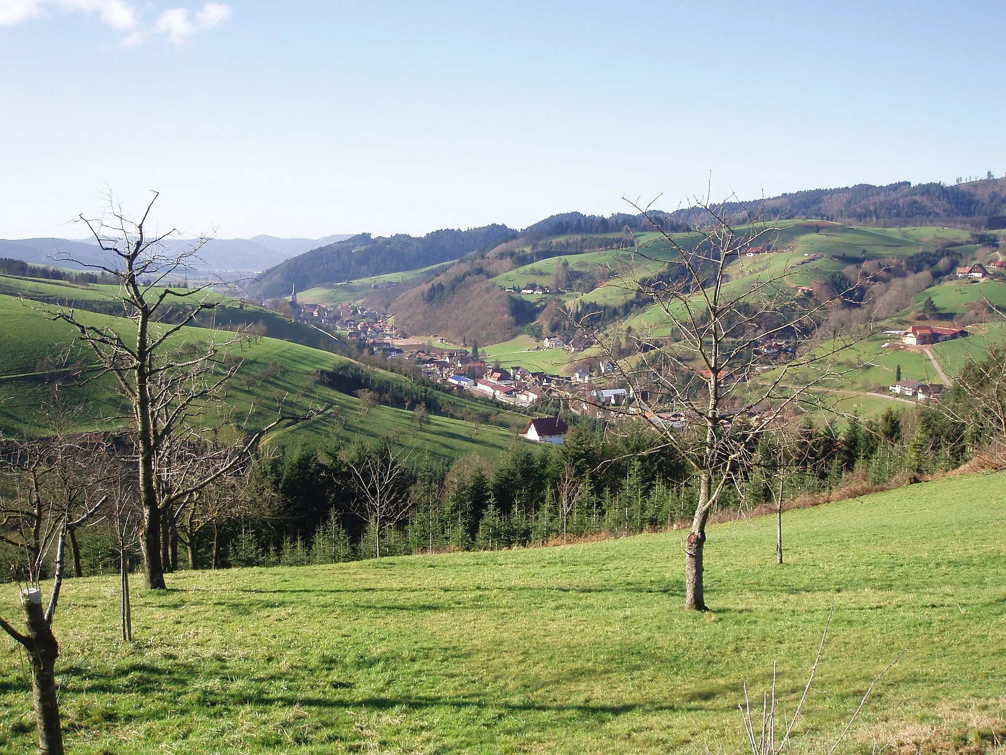 Afbeelding van Freiburg