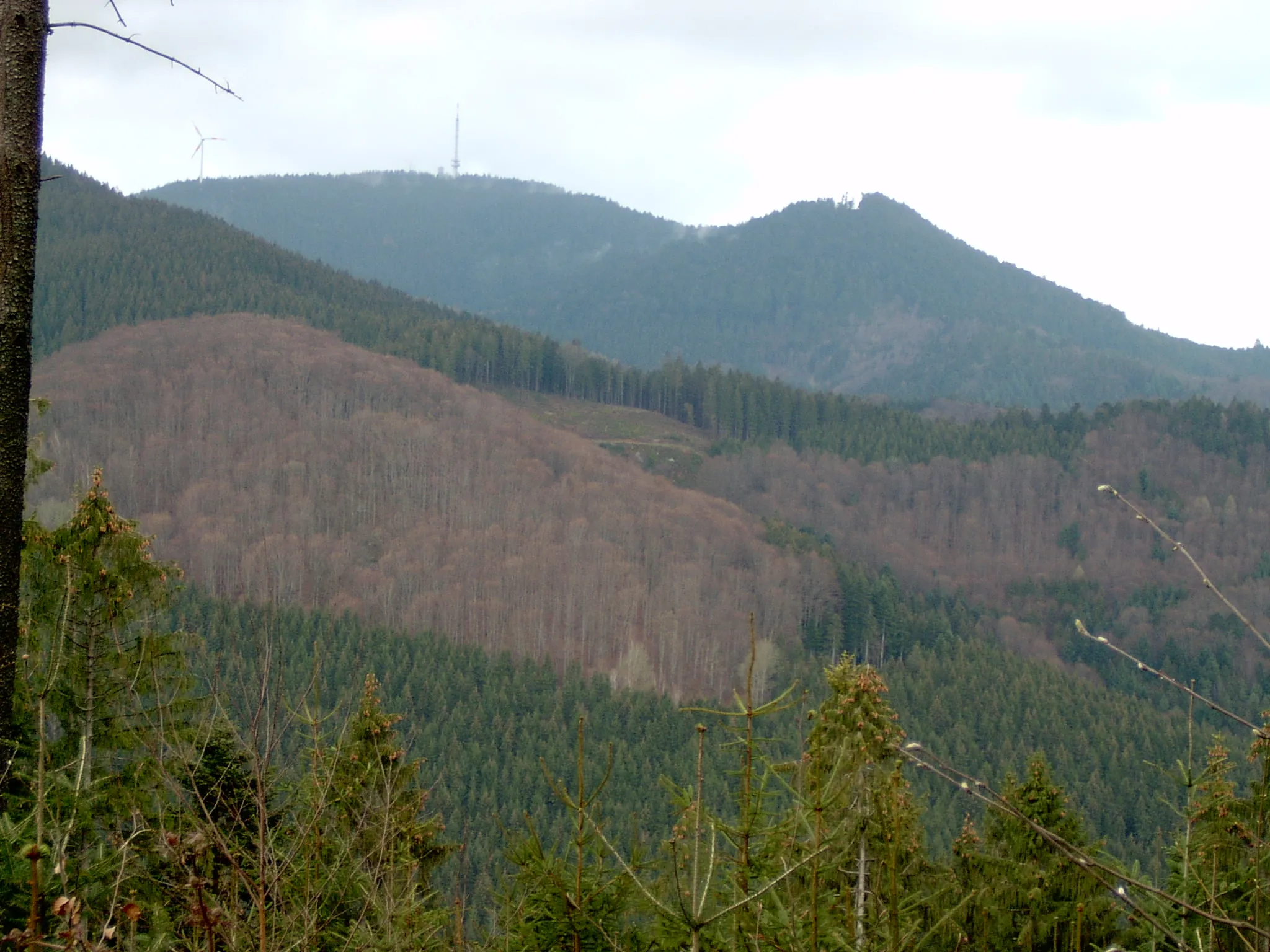 Photo showing: Brandenkopf bei Oberharmersbach, Mittlerer Schwarzwald (945 m)