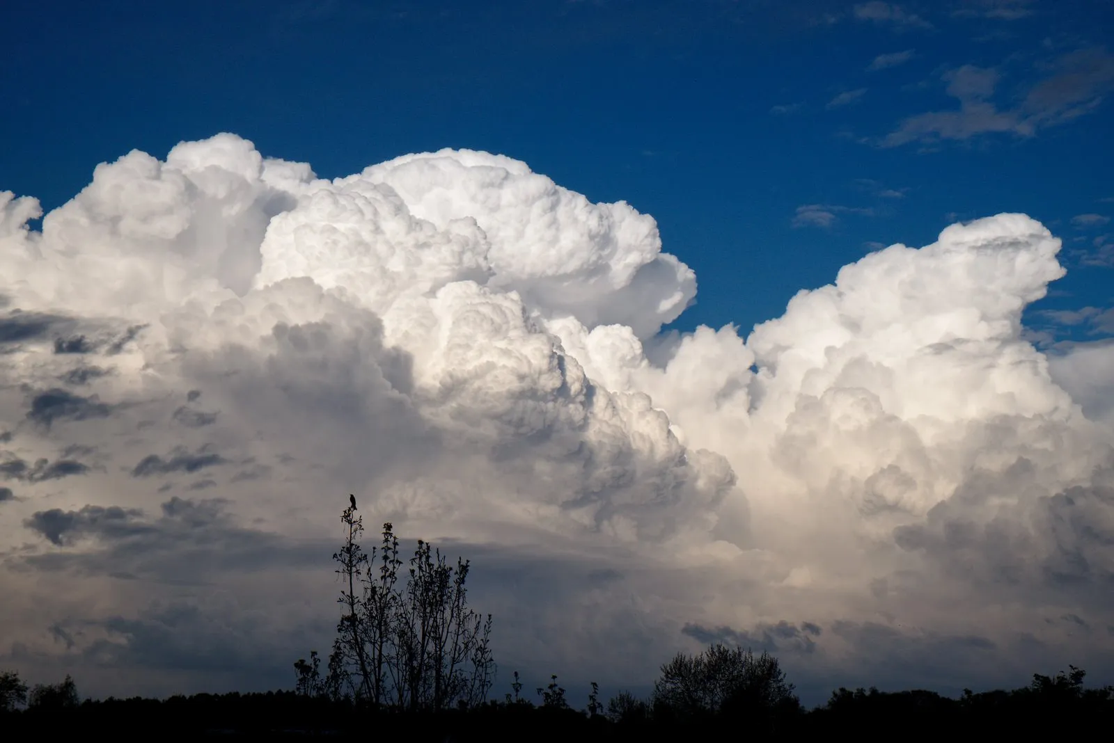 Photo showing: 500px provided description: Blogpost: www.jenseitsderfenster.de/2015/04/28/wolkenberge/

CC-BY Faldrian / jenseitsderfenster.de [#sky ,#clouds ,#storm ,#konstanz ,#wolken ,#himmel ,#wolkenberge]