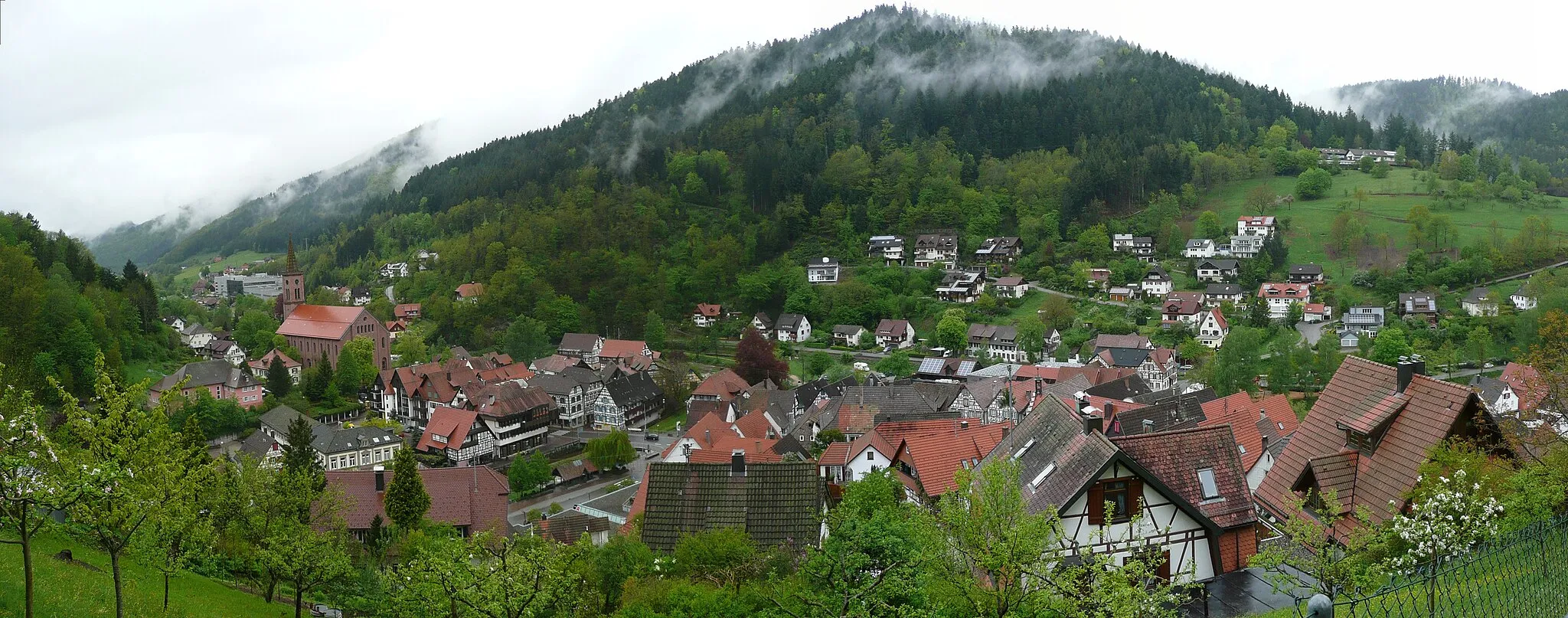 Photo showing: panorama of Schiltach.