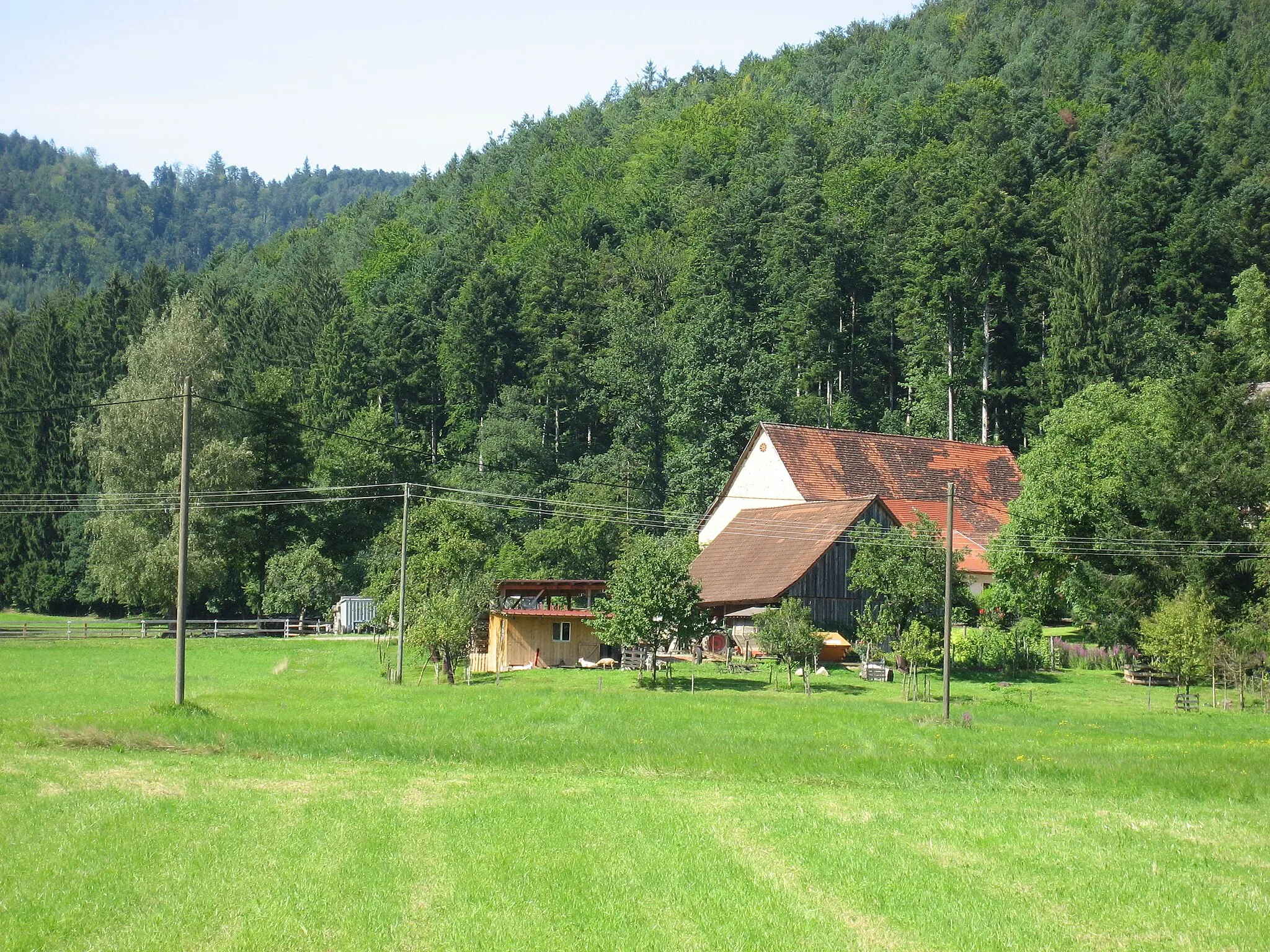 Imagen de Freiburg