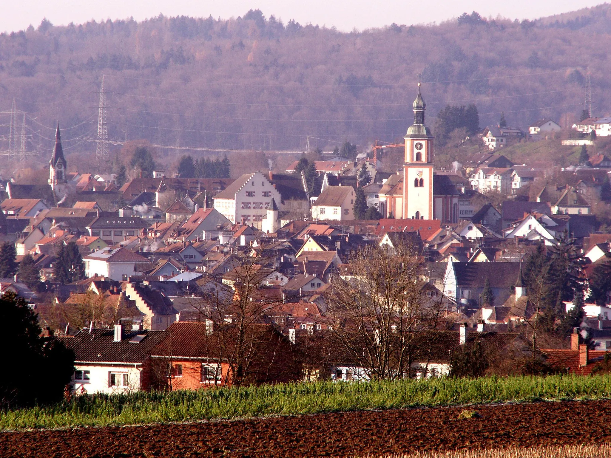 Photo showing: Blick auf Tiengen (Waldshut-Tiengen)