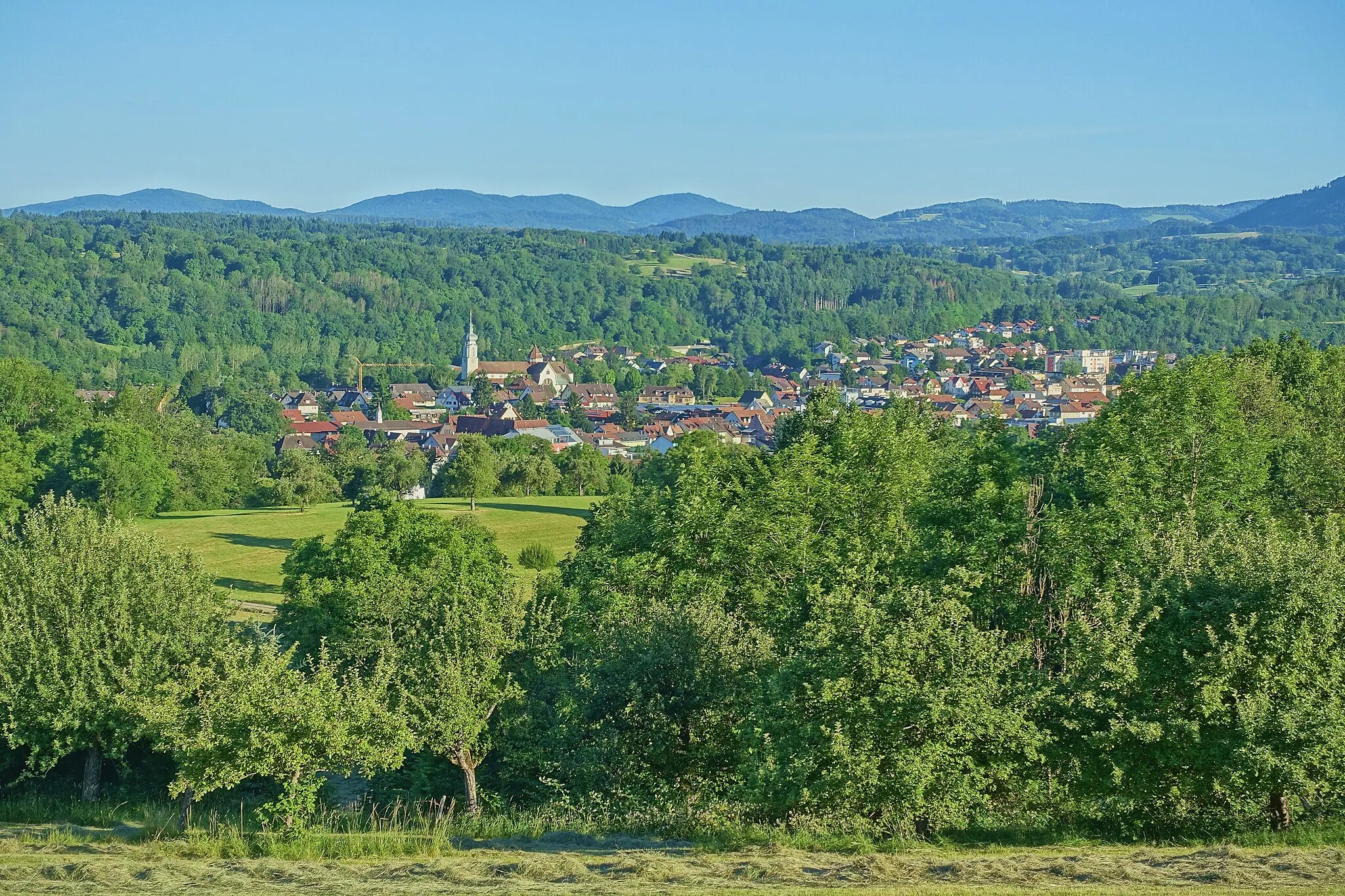 Bild von Friburgo