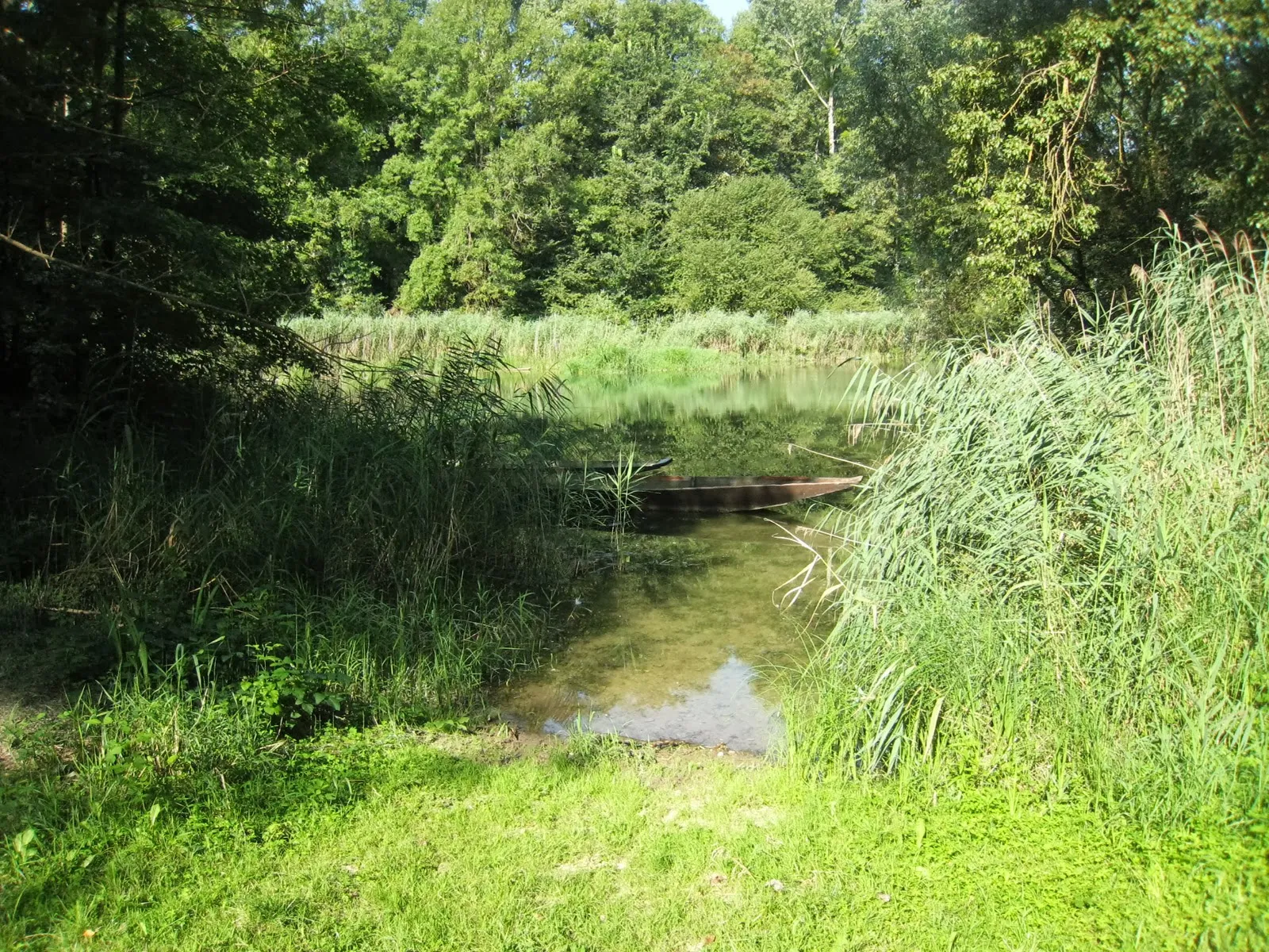 Photo showing: Vrijdag 23 augustus 2013. Near Weisweil, Germany