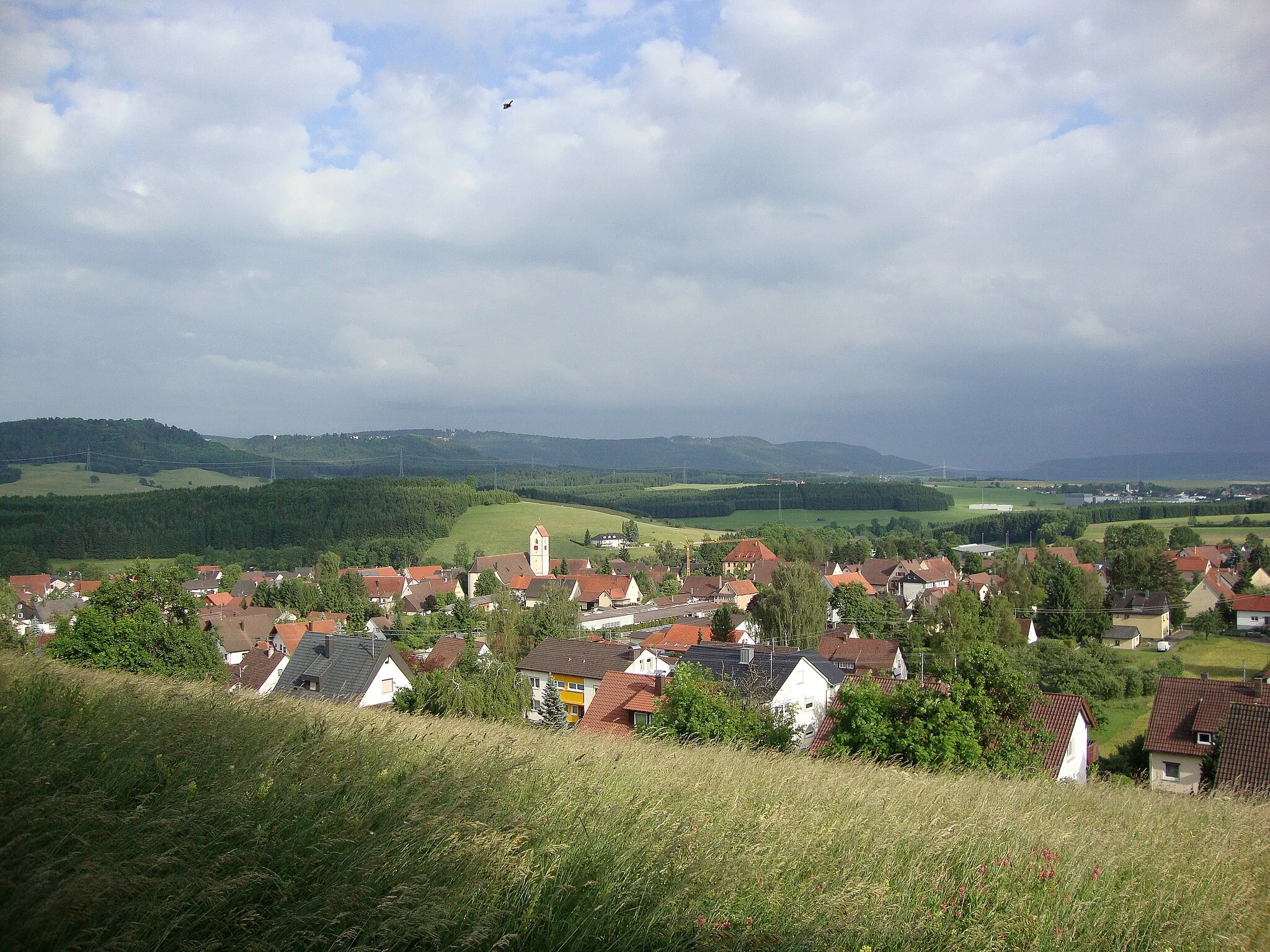 Photo showing: View from Wellendingen´s highest point in east direction.