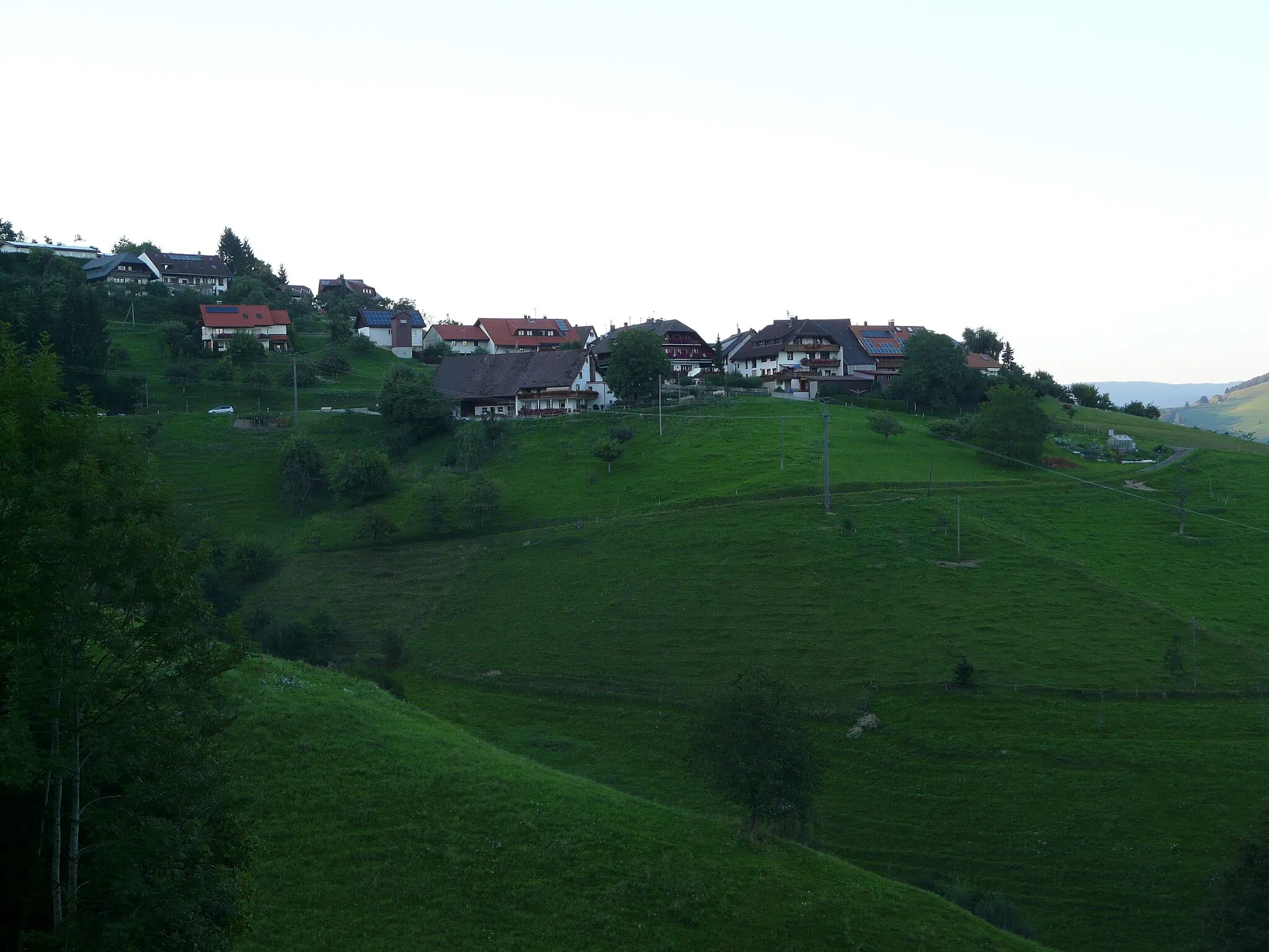 Photo showing: Pfaffenberg, part of Zell im Wiesental