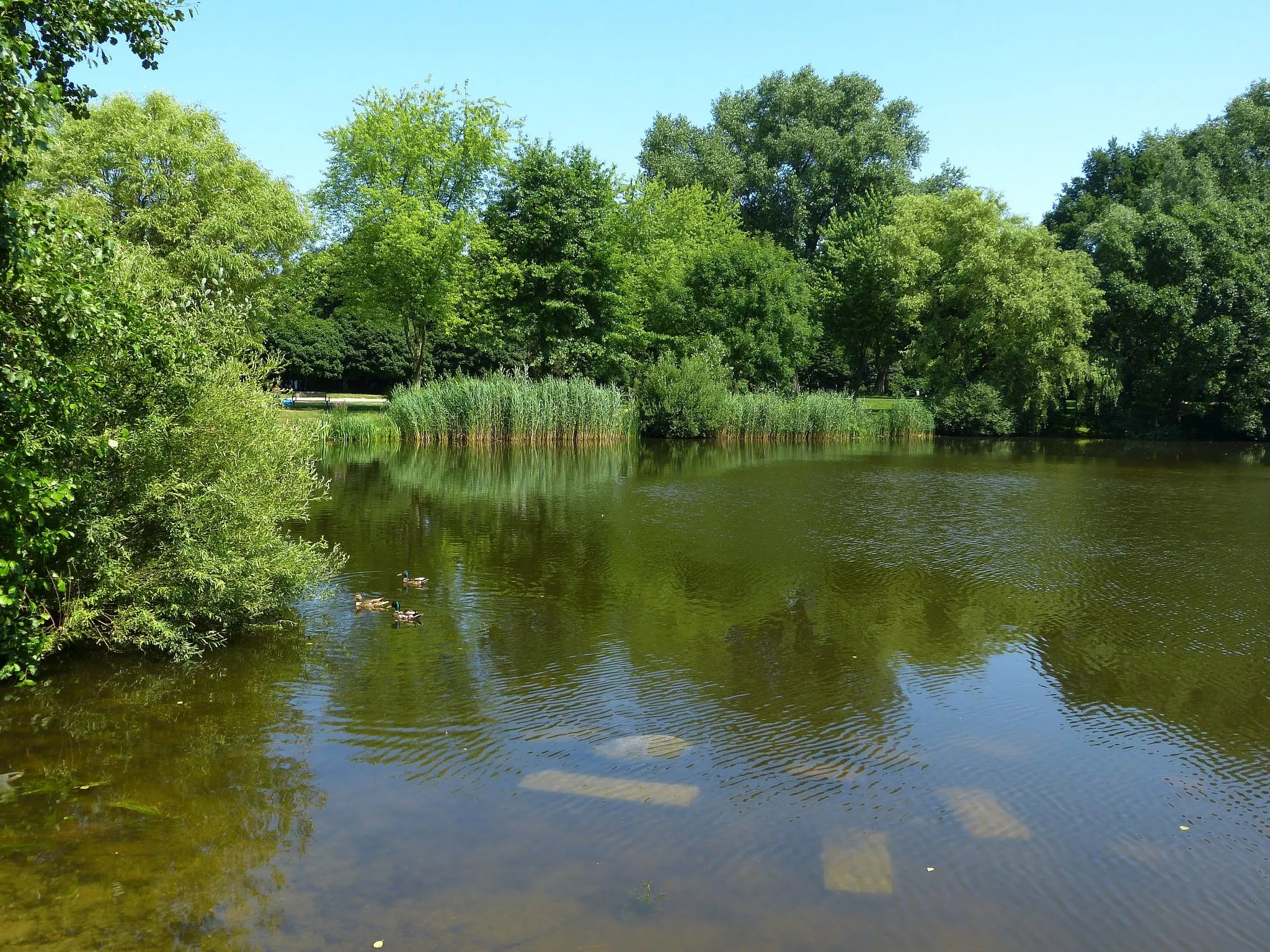 Photo showing: Das Horner Moor ist ein kleiner Teich im Hamburger Stadtteil Horn und Namensgeber der gleichnamigen Rennbahn