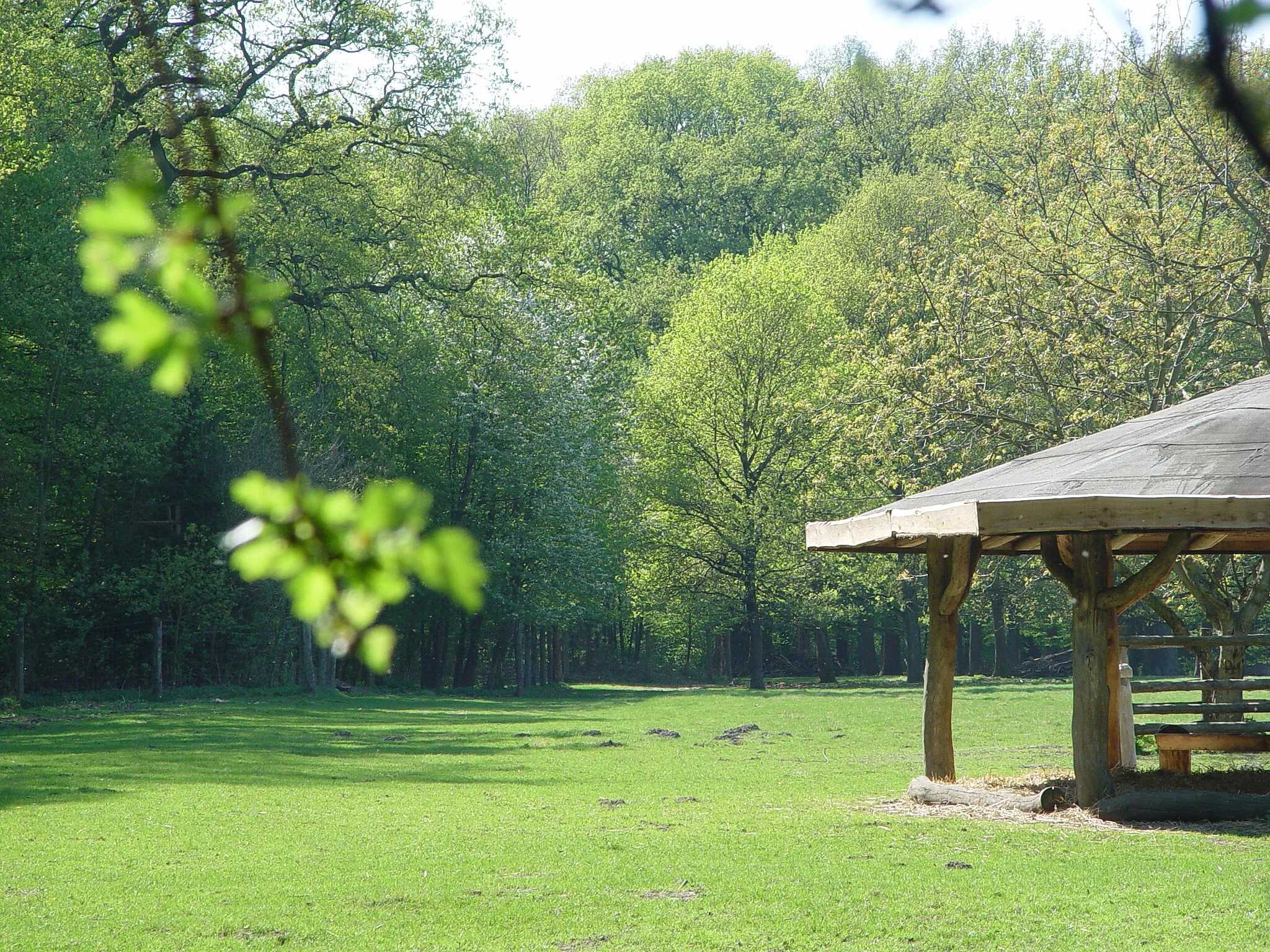 Photo showing: Germany, Hamburg, Park named Niendorfer Gehege