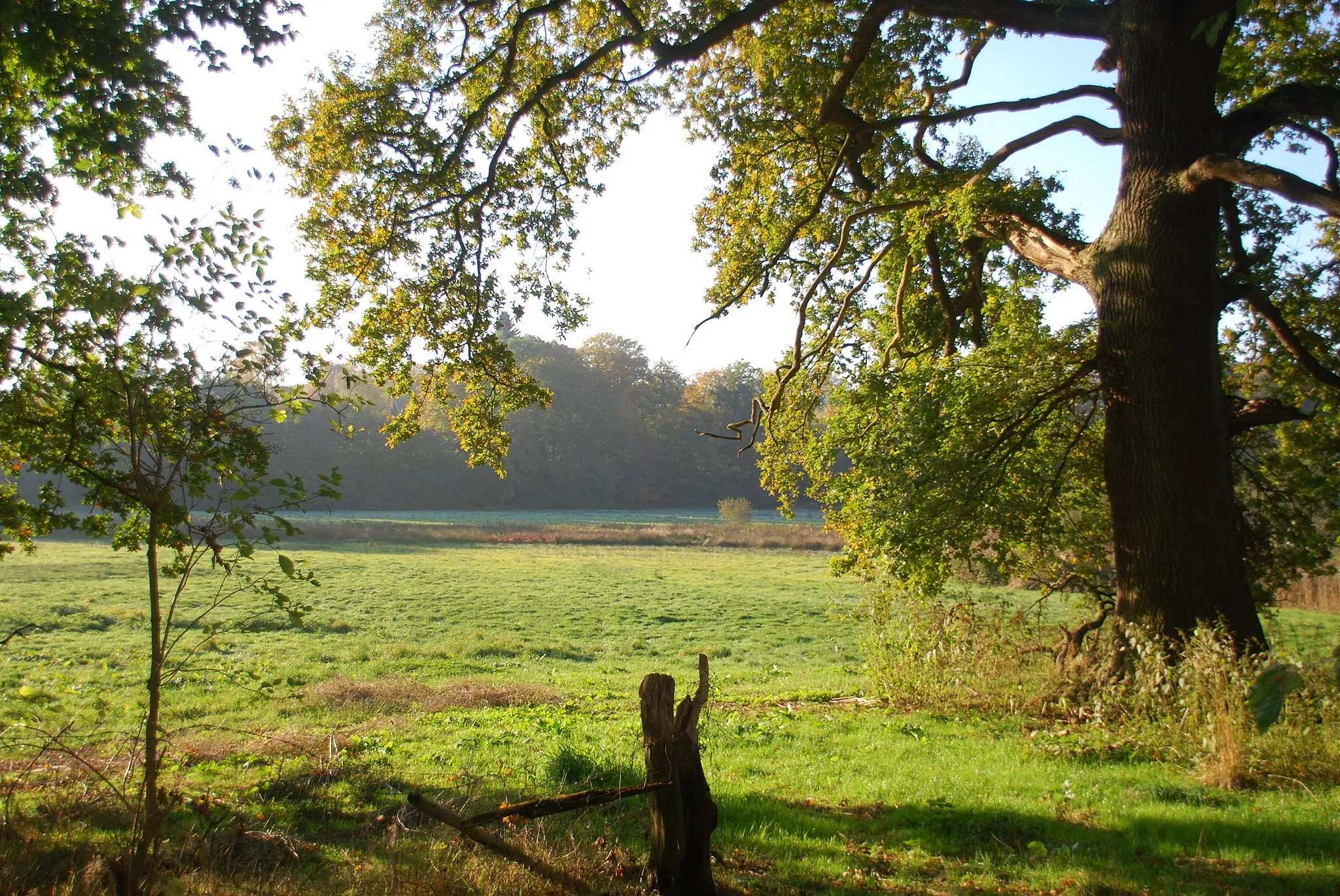 Photo showing: Naturschutzgebiet Teichwiesen