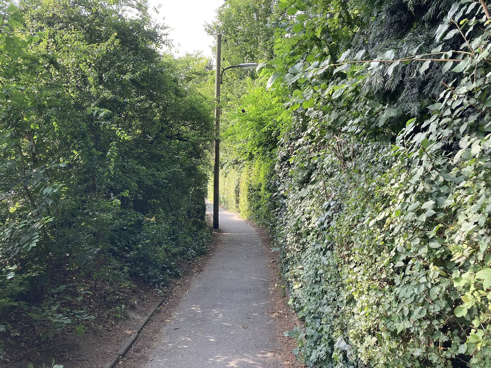 Photo showing: Der Kuhteichweg in Hamburg-Wellingsbüttel