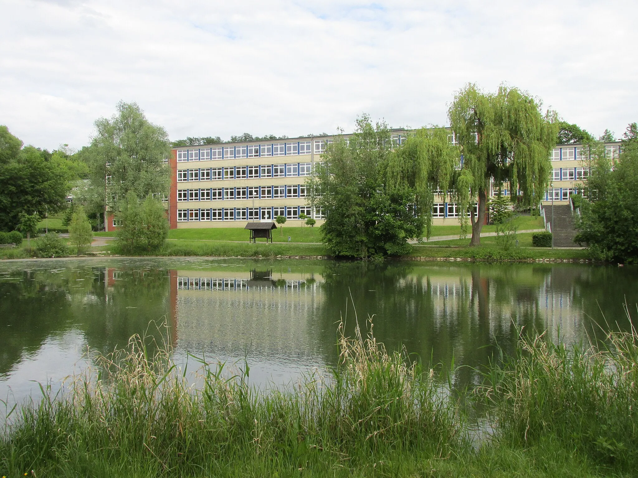 Photo showing: der Stiefels Teich in Alfeld neben der Warne, dahinter das Gymnasium von Alfeld
